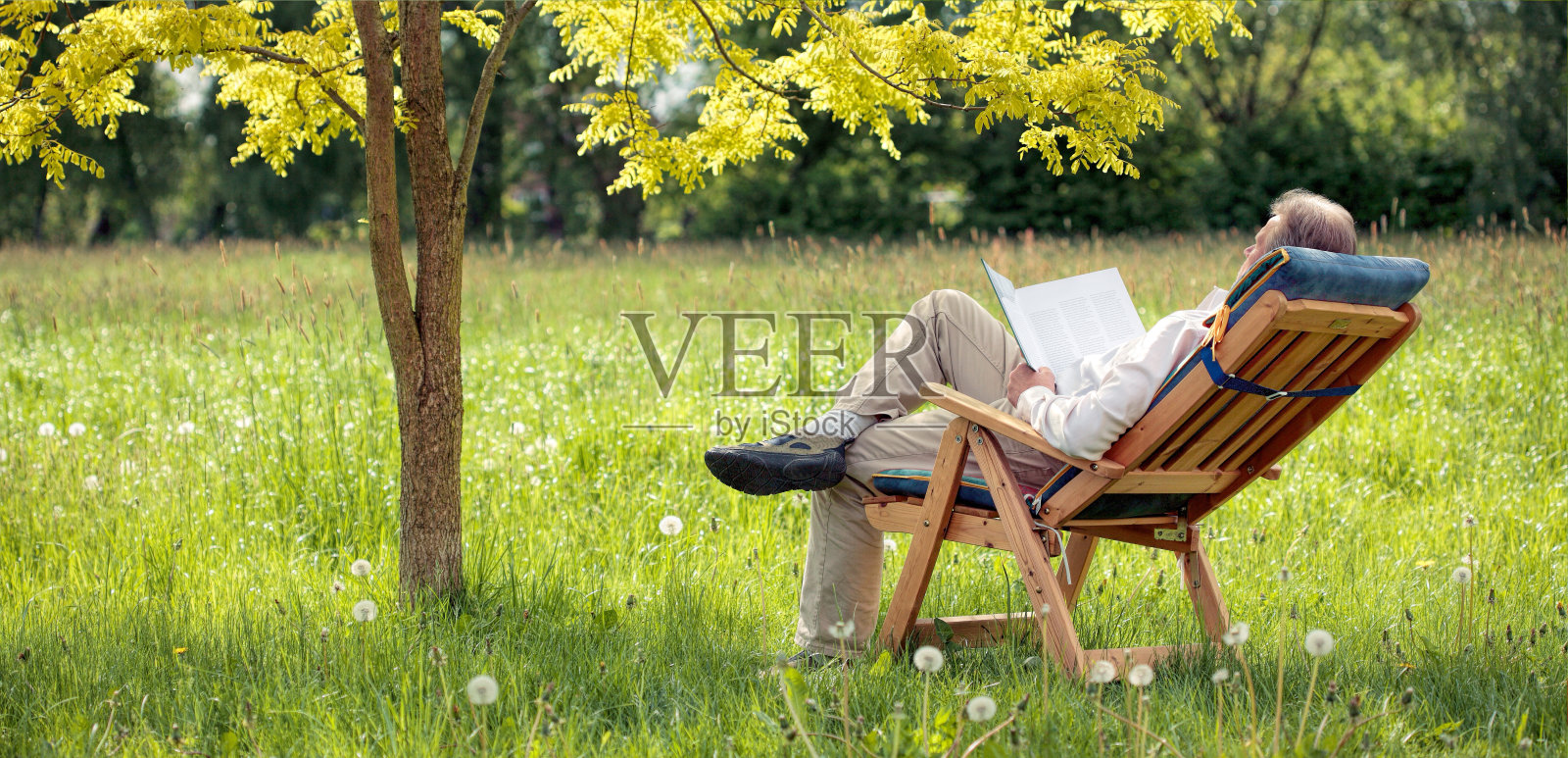 老人躺在树下草地上的椅子上看书照片摄影图片