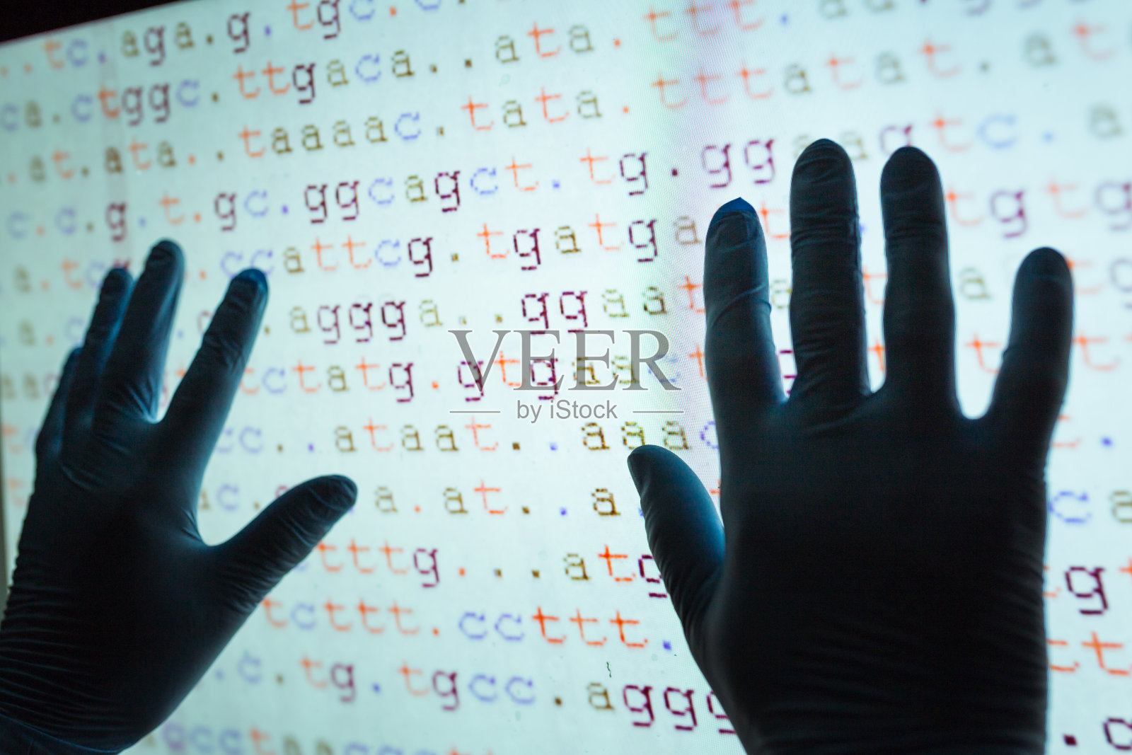 屏幕上的DNA密码用两只手触摸屏幕照片摄影图片