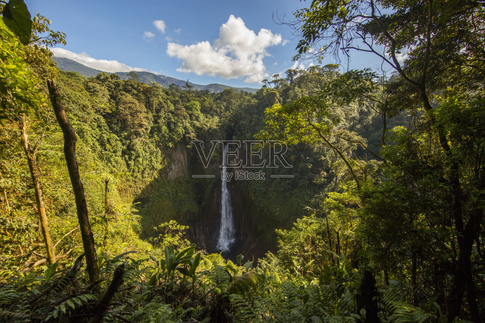 瀑布和雨林美景照片摄影图片