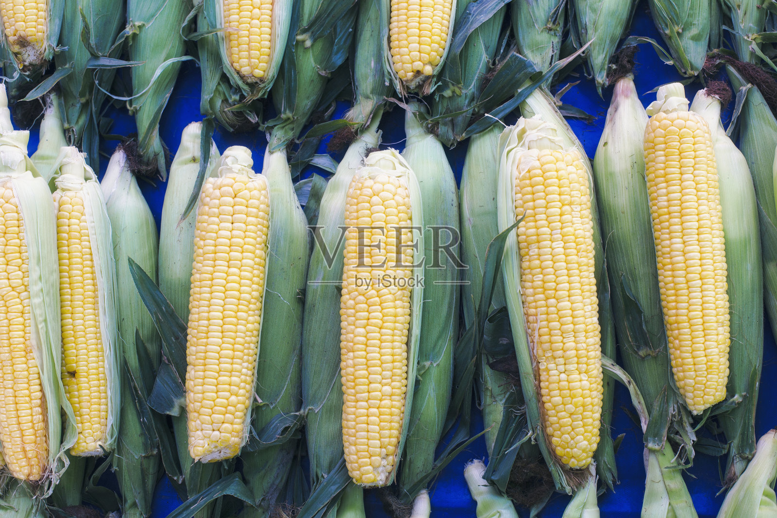 新鲜的甜玉米在农贸市场照片摄影图片