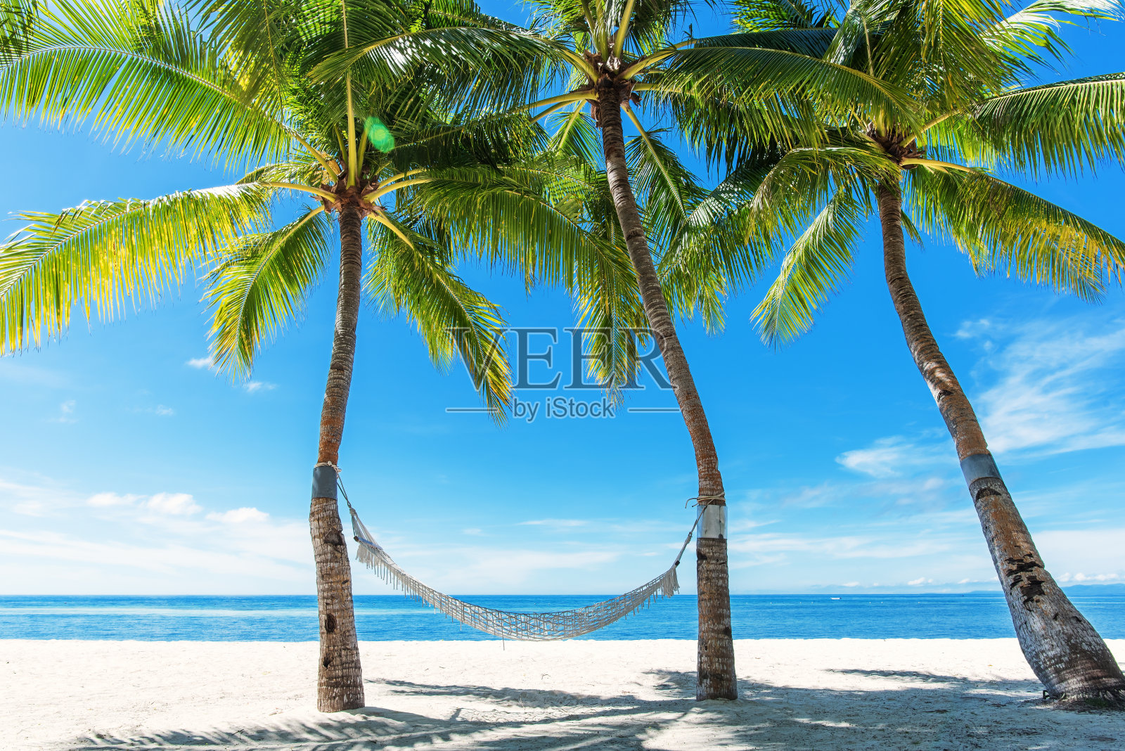热带海滩吊床在夏季放松照片摄影图片