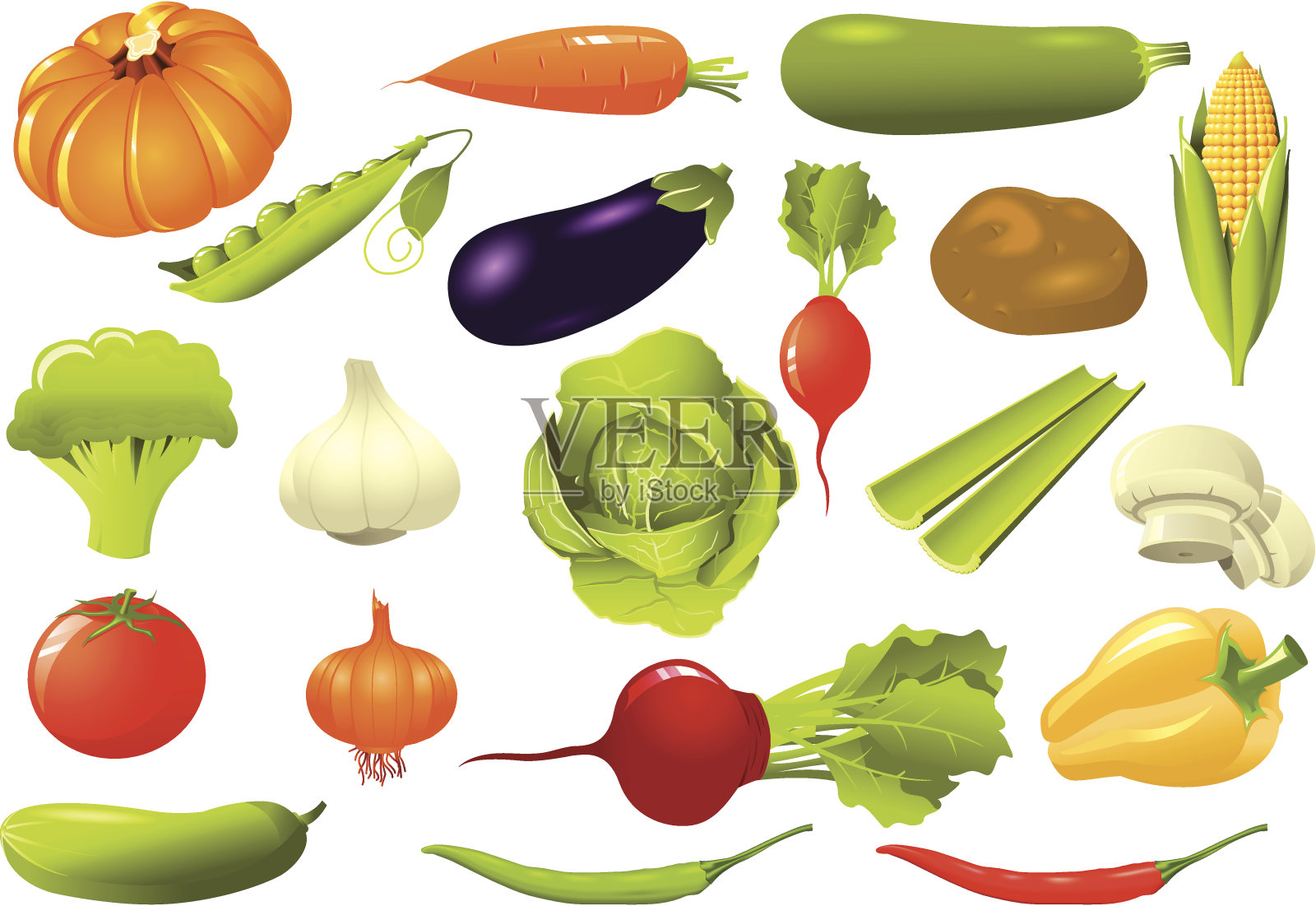 的蔬菜插画图片素材