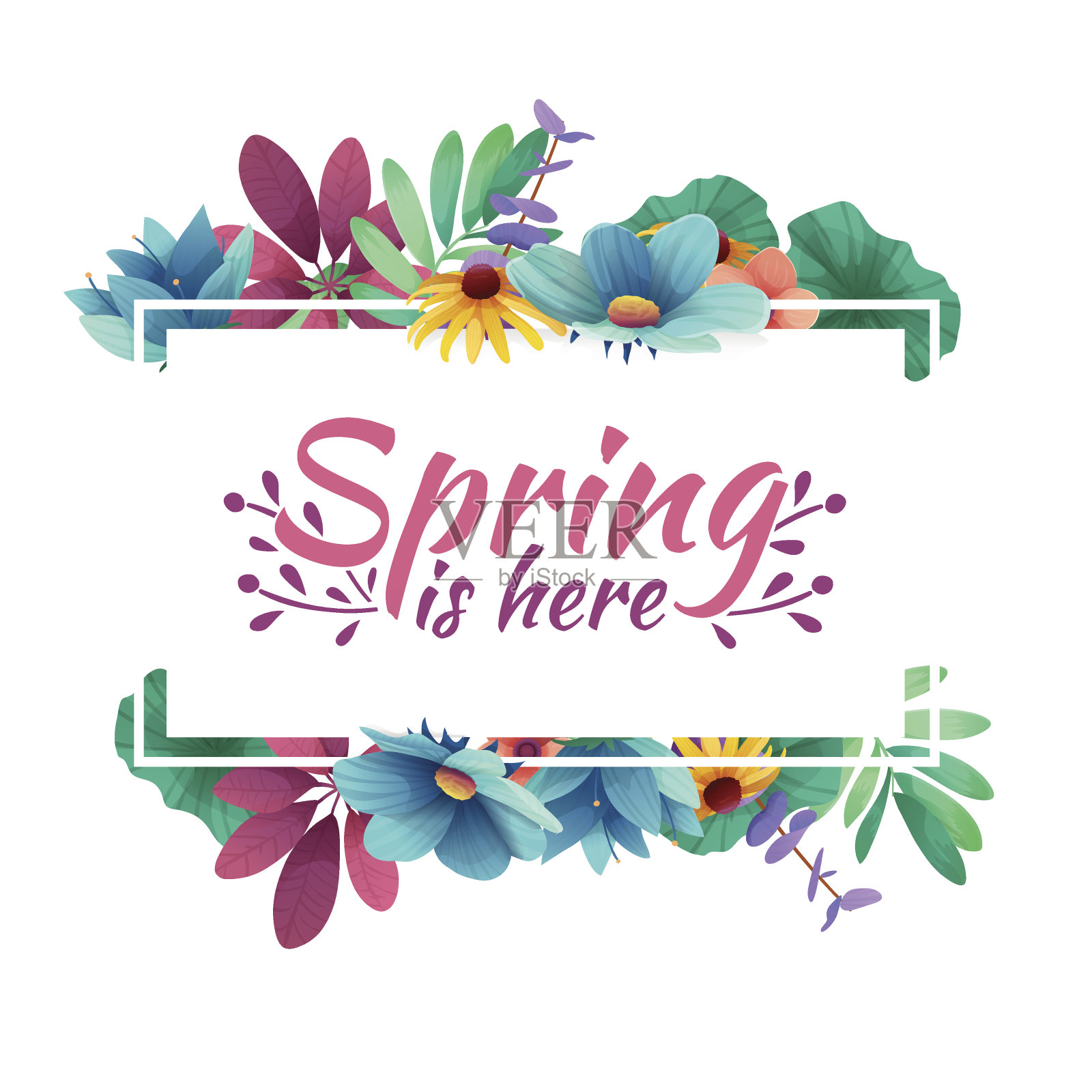 设计横幅与春天在这里图标。白色框架和草本植物的春季卡片。提供春季植物、叶、花装饰优惠。向量插画图片素材
