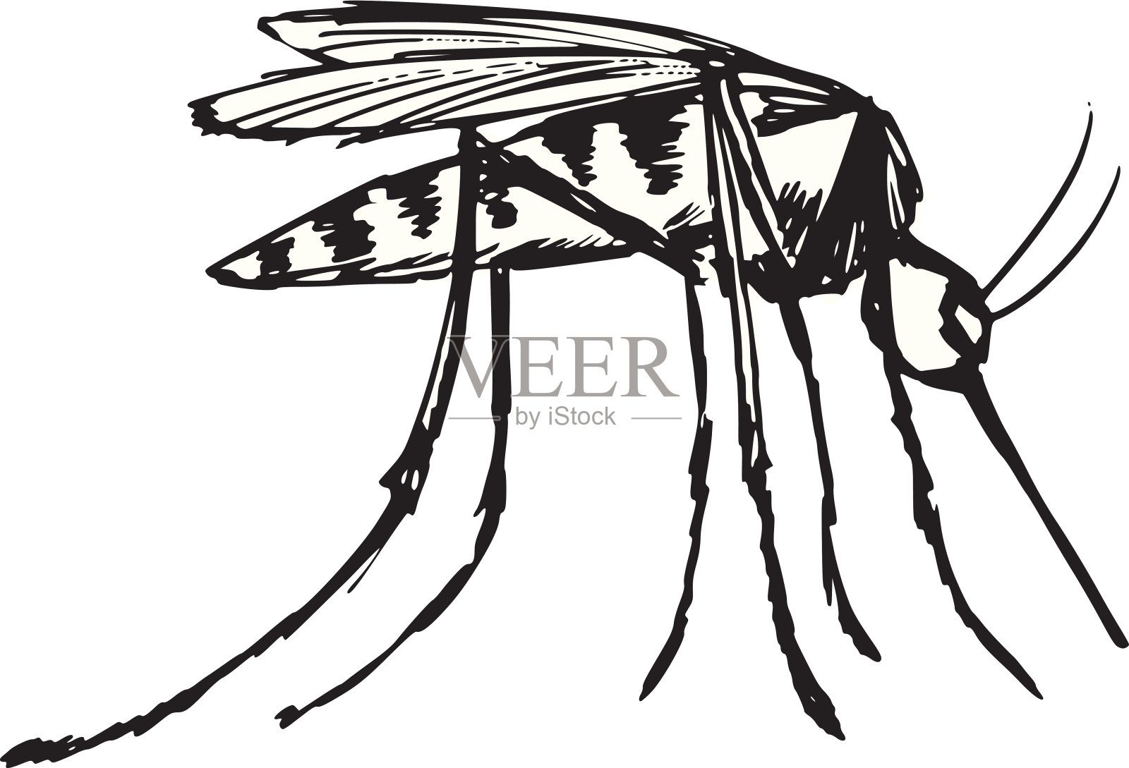 蚊子图片素材-编号28433289-图行天下