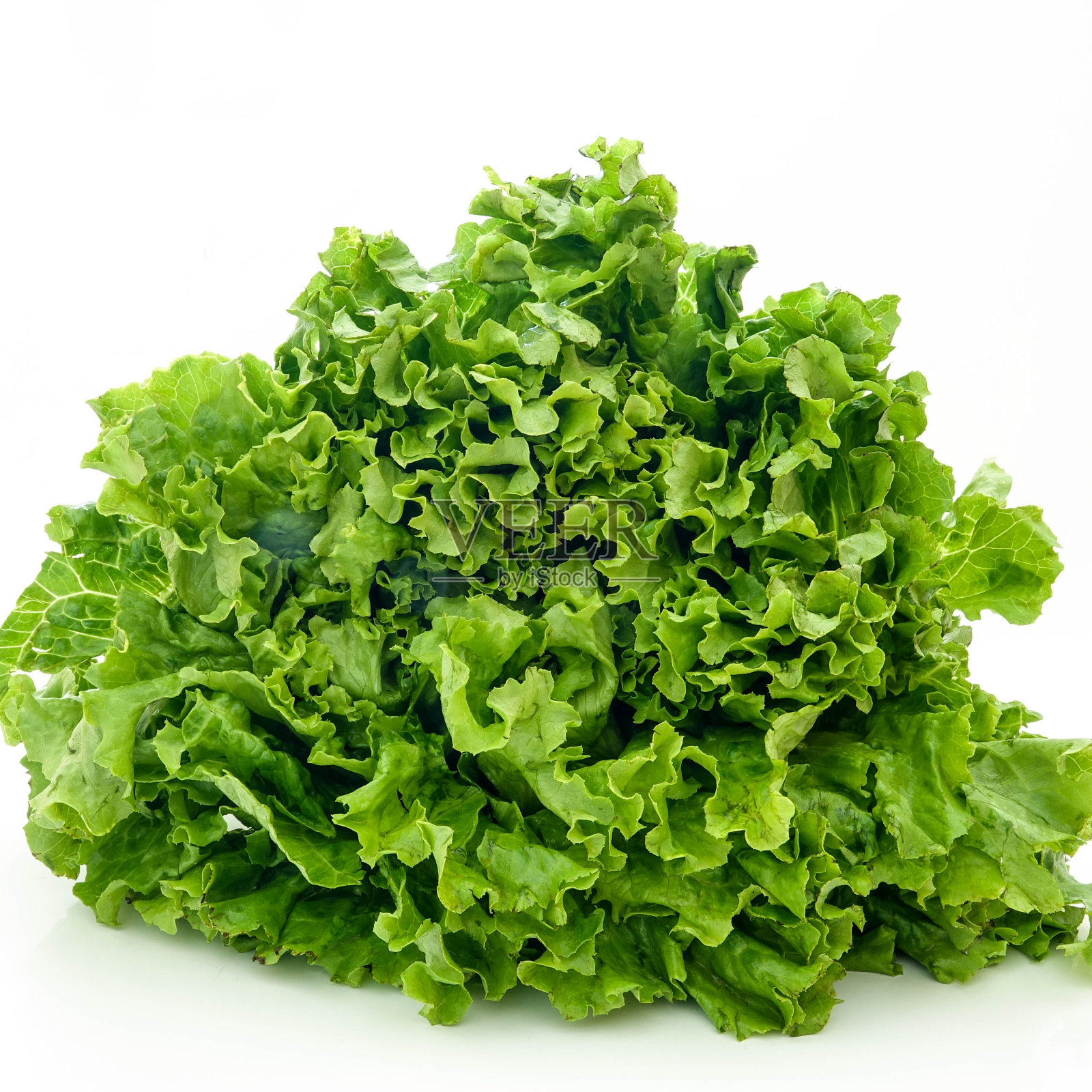 新鲜的生菜沙拉叶特写。蔬菜沙拉生菜，孤立在白色背景上照片摄影图片