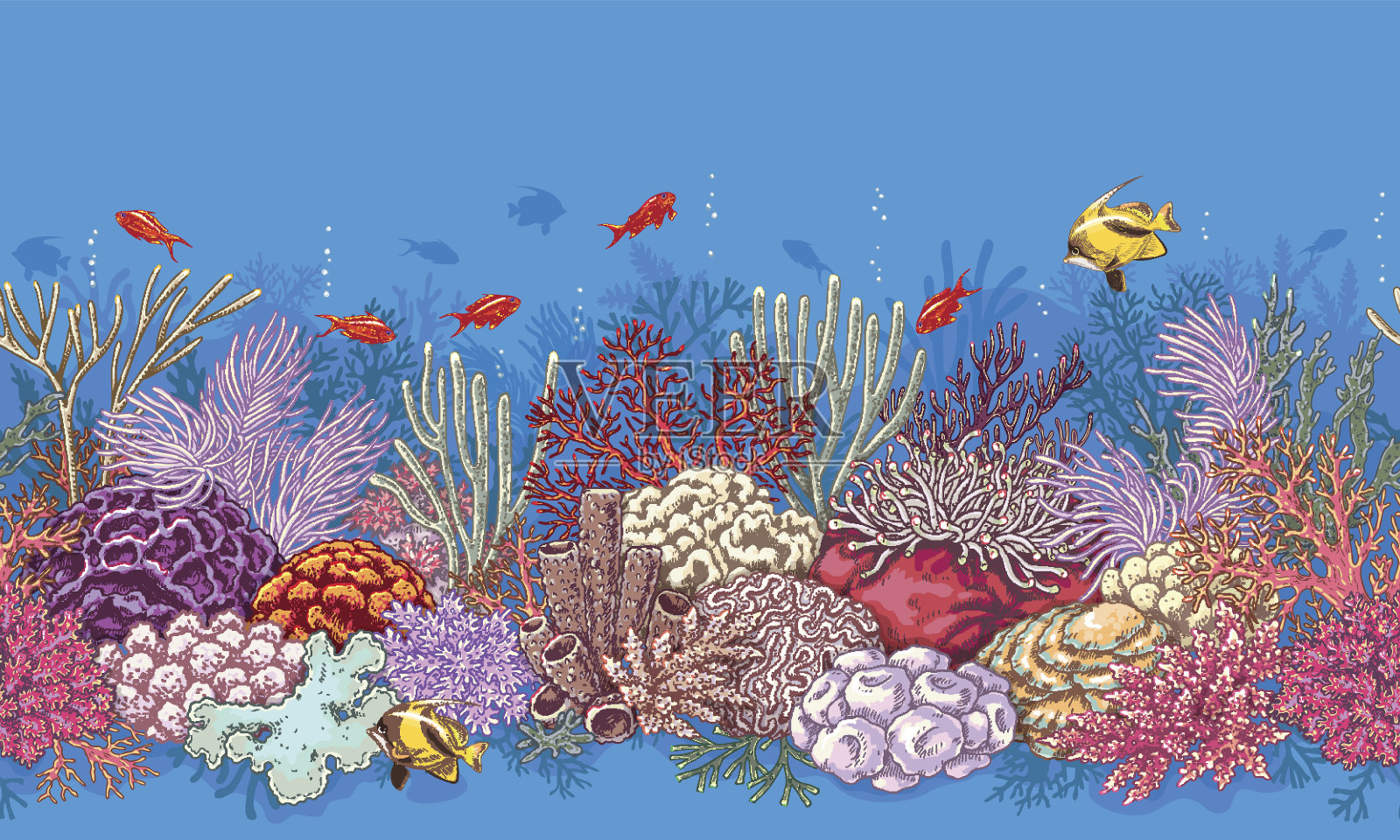 珊瑚礁线模式插画图片素材
