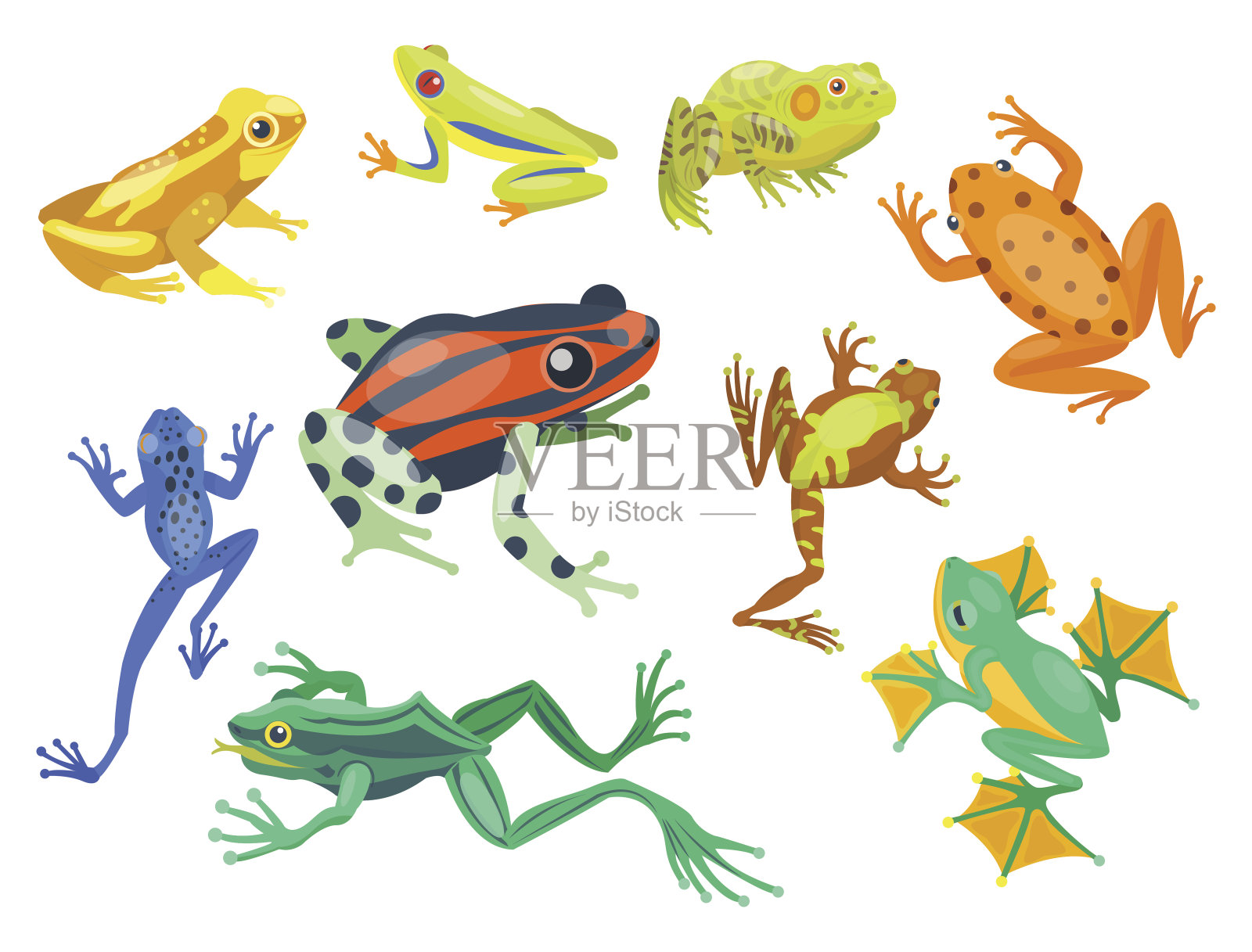 青蛙卡通热带动物卡通自然图标有趣和孤立的吉祥物人物野生有趣的森林蟾蜍两栖动物矢量插图插画图片素材