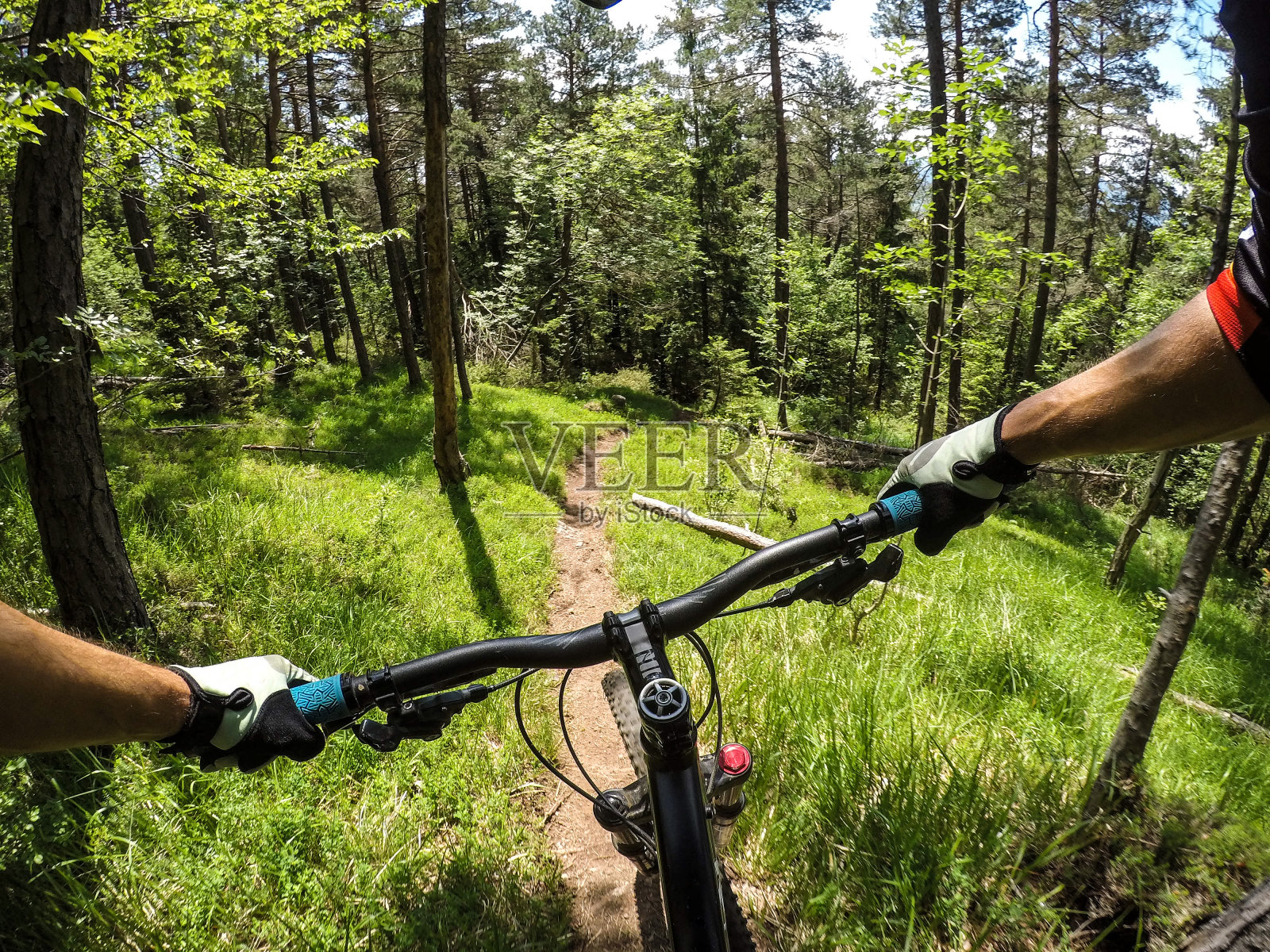 在森林里骑自行车照片摄影图片