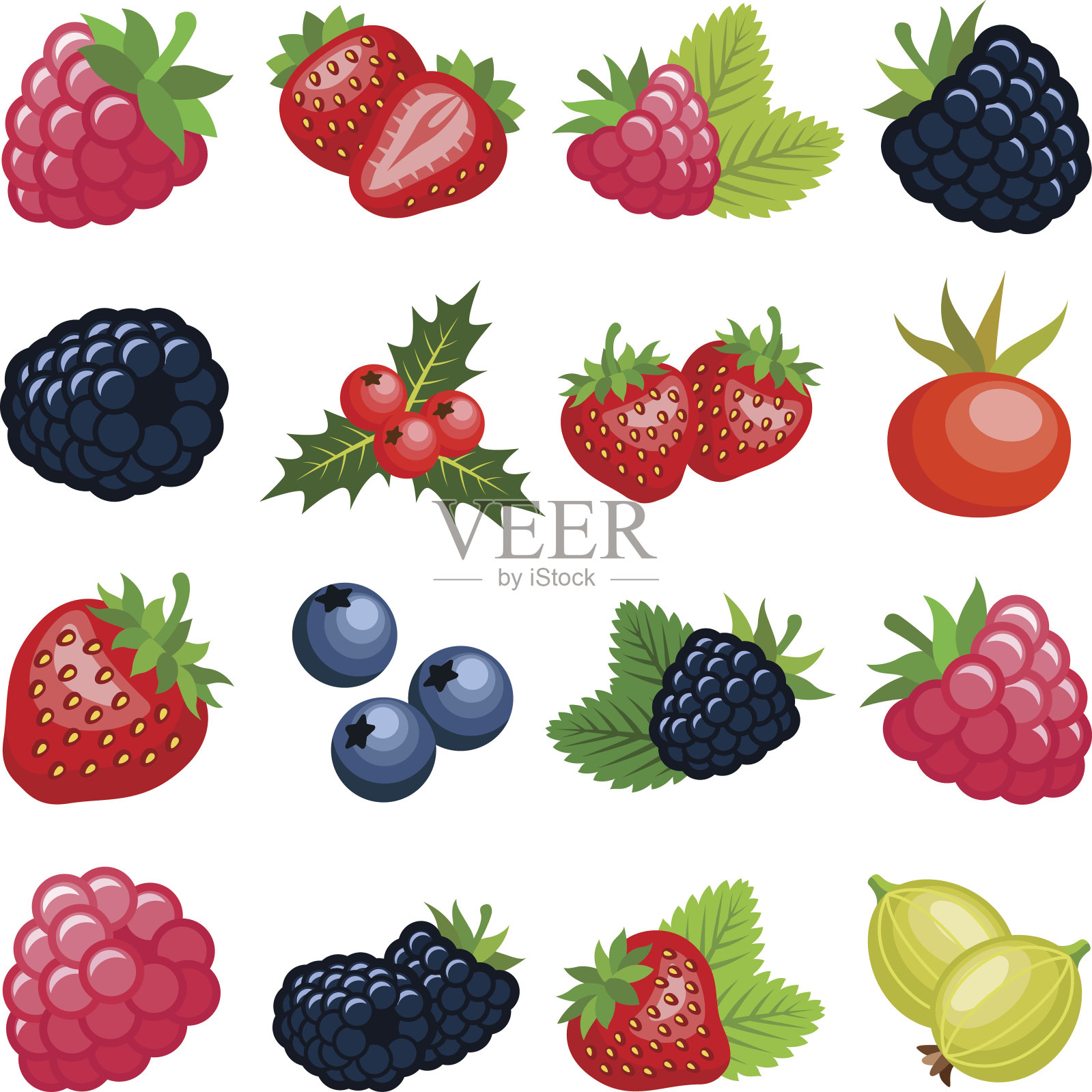 浆果的水果插画图片素材