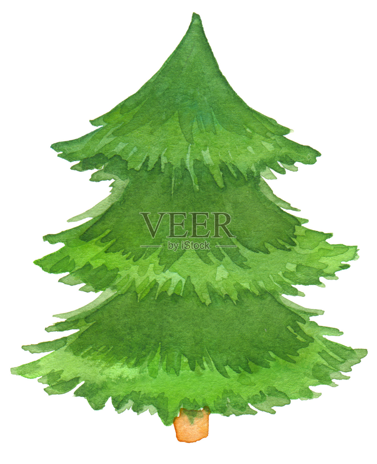 水彩手绘圣诞树。插画图片素材