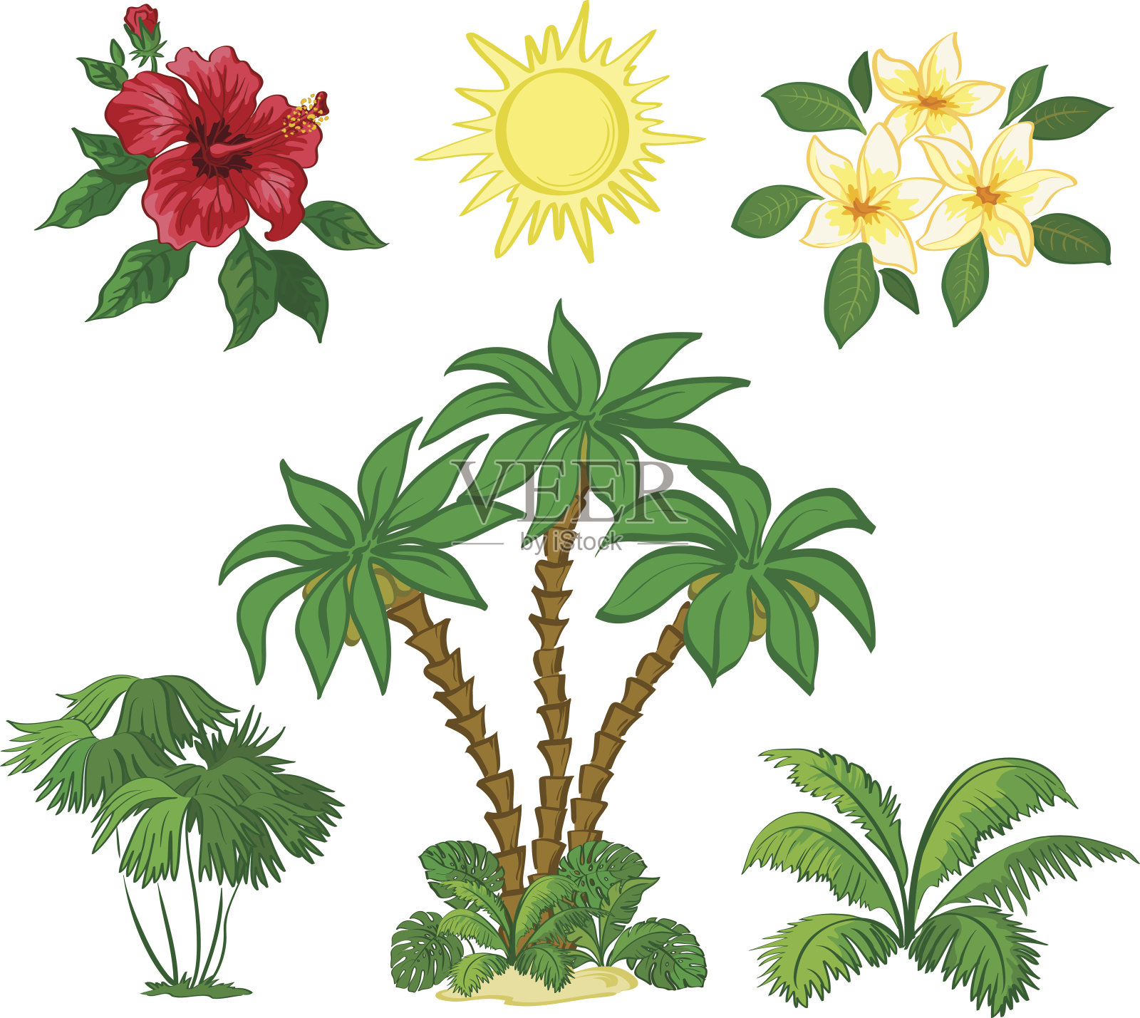 太阳，棕榈树，花和叶子插画图片素材