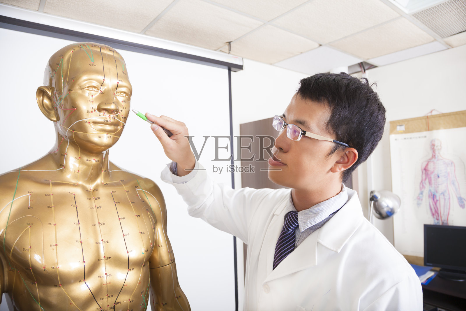 中医教授人体穴位模型照片摄影图片