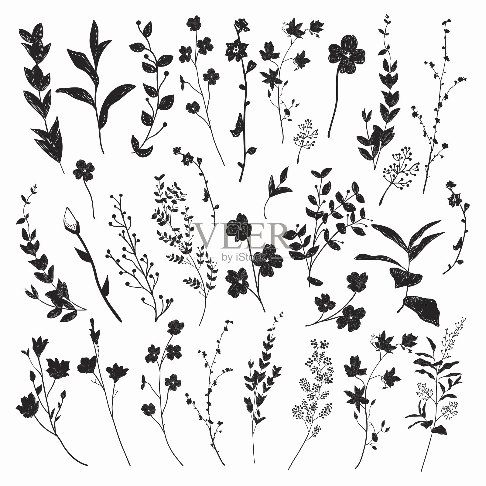 采购产品黑色的草本，植物和花。矢量图插画图片素材