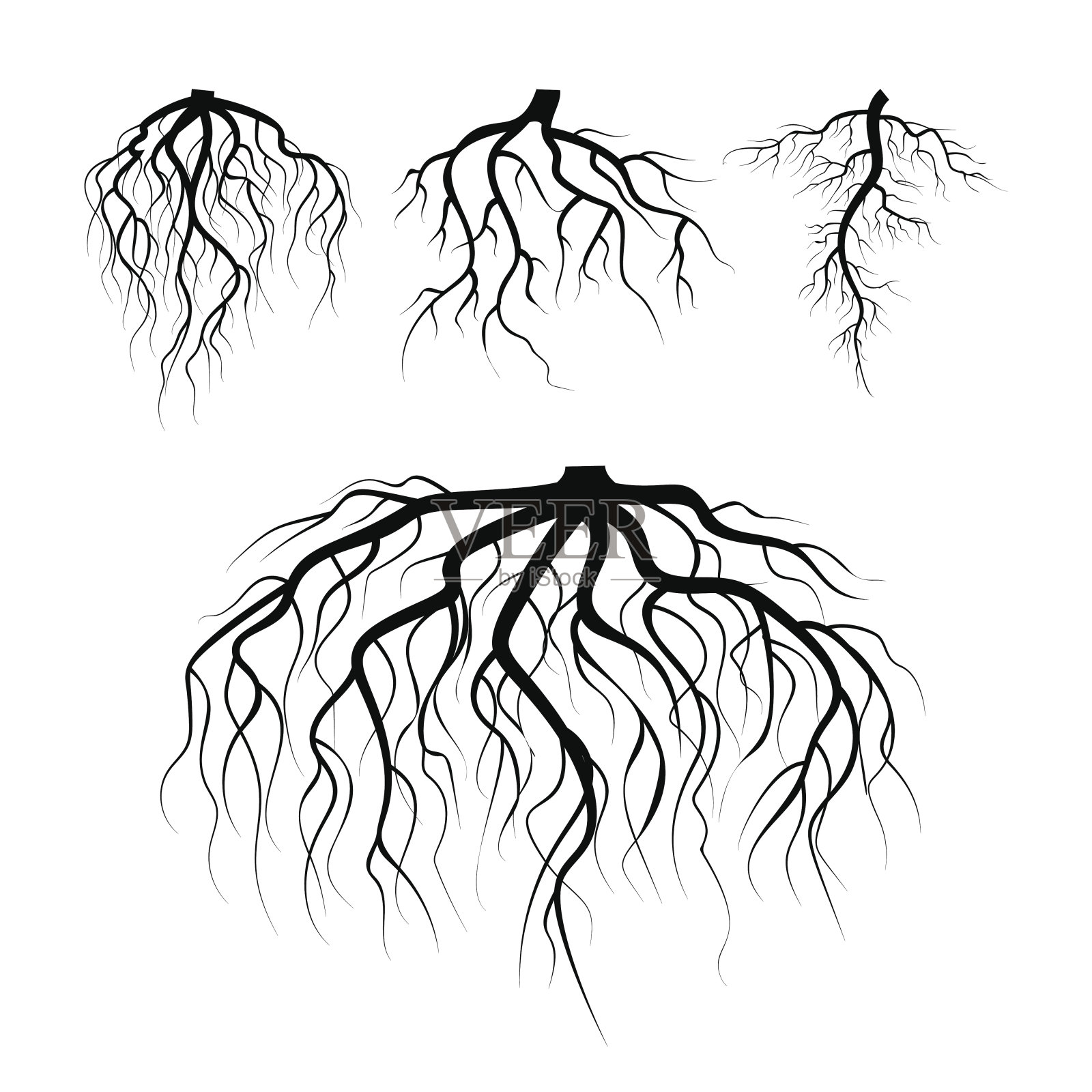 树地下根向量。植物地下根系设置。树的根是黑色的。植物剪影根的插图插画图片素材