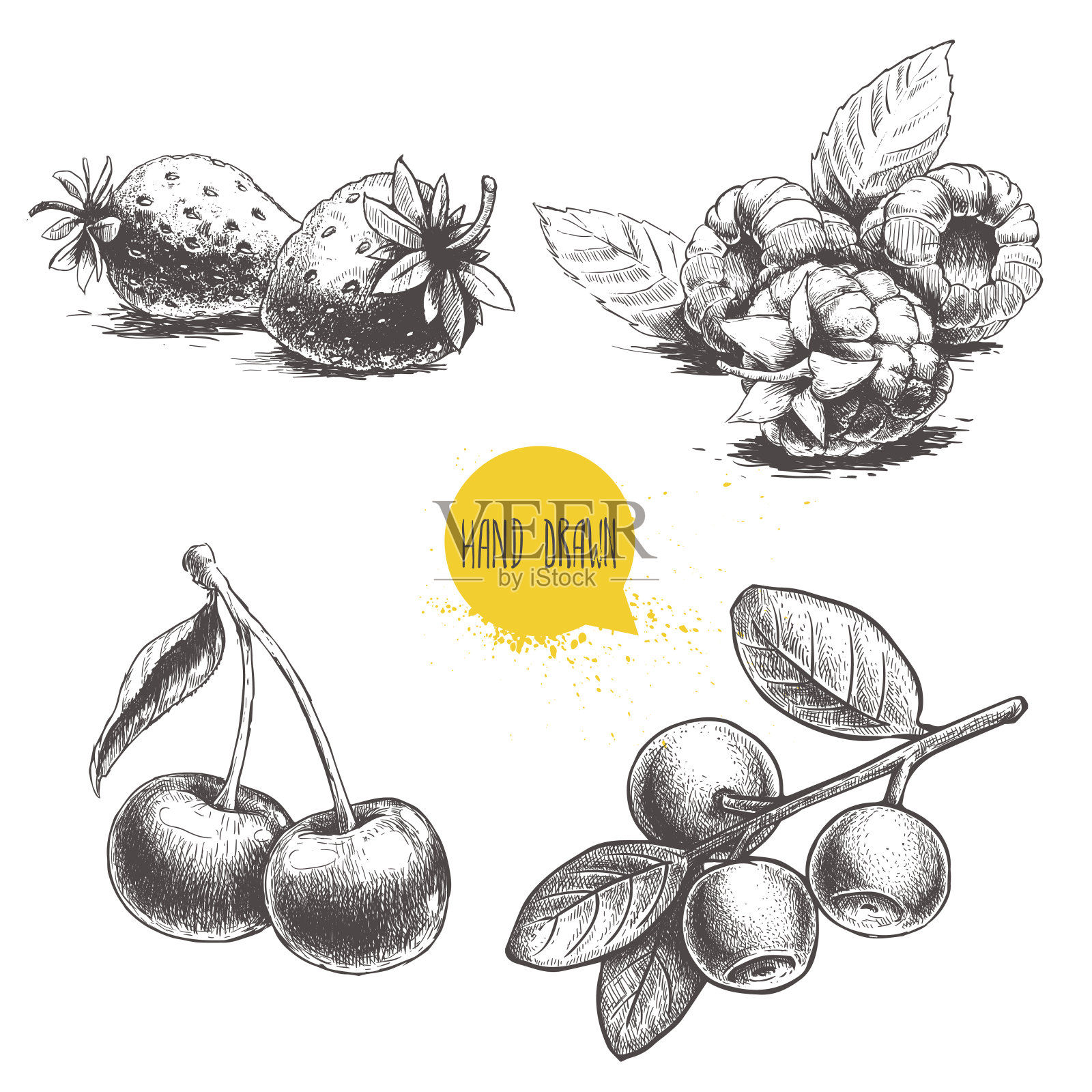 手绘素描风格浆果集。覆盆子与树叶，草莓，樱桃和蓝莓枝。插画图片素材
