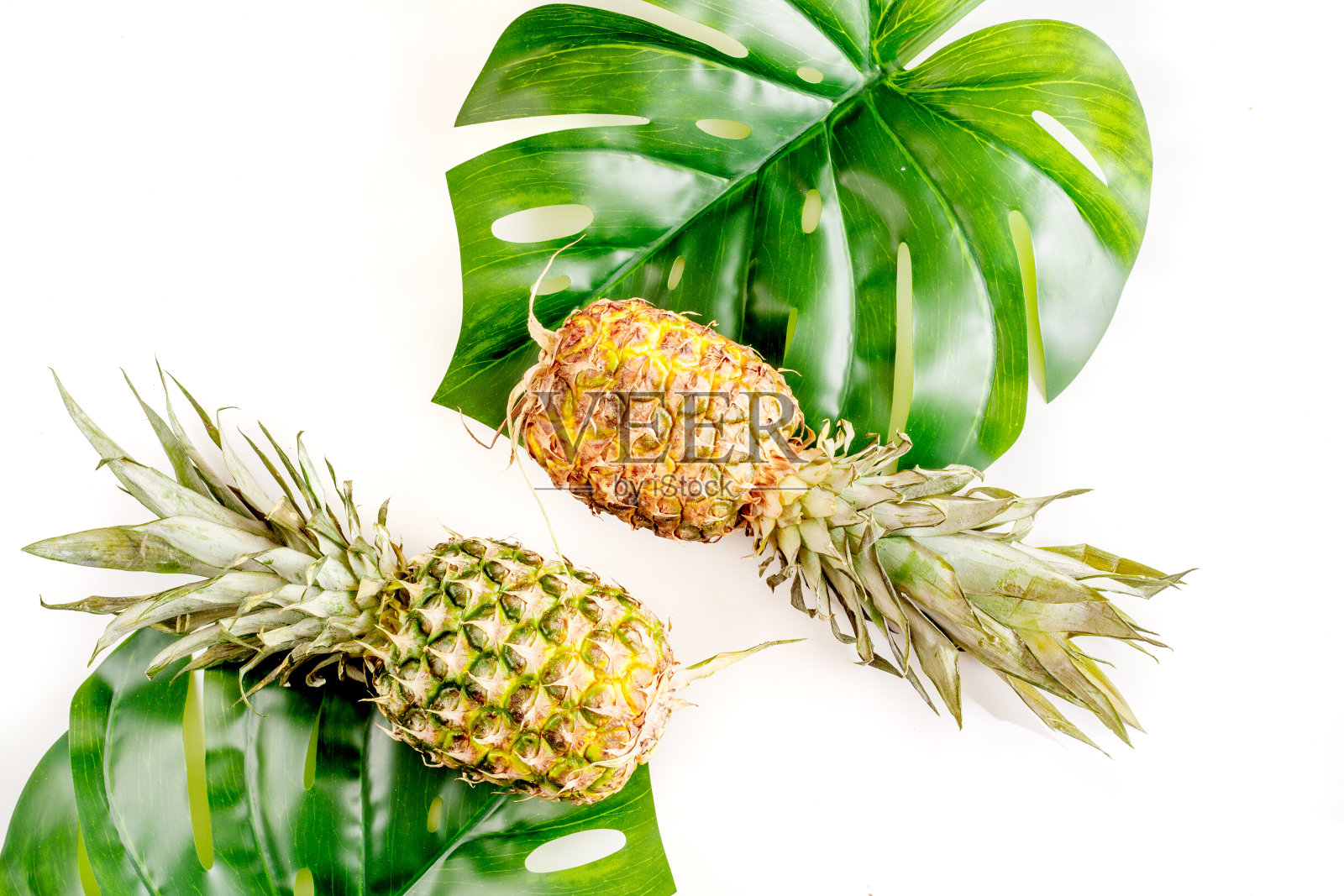 热带水果夏季设计上的白色背景俯视图照片摄影图片