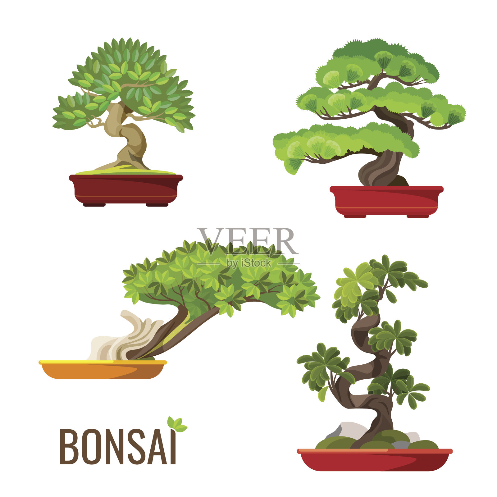 一套盆栽日本树生长在容器矢量插图插画图片素材