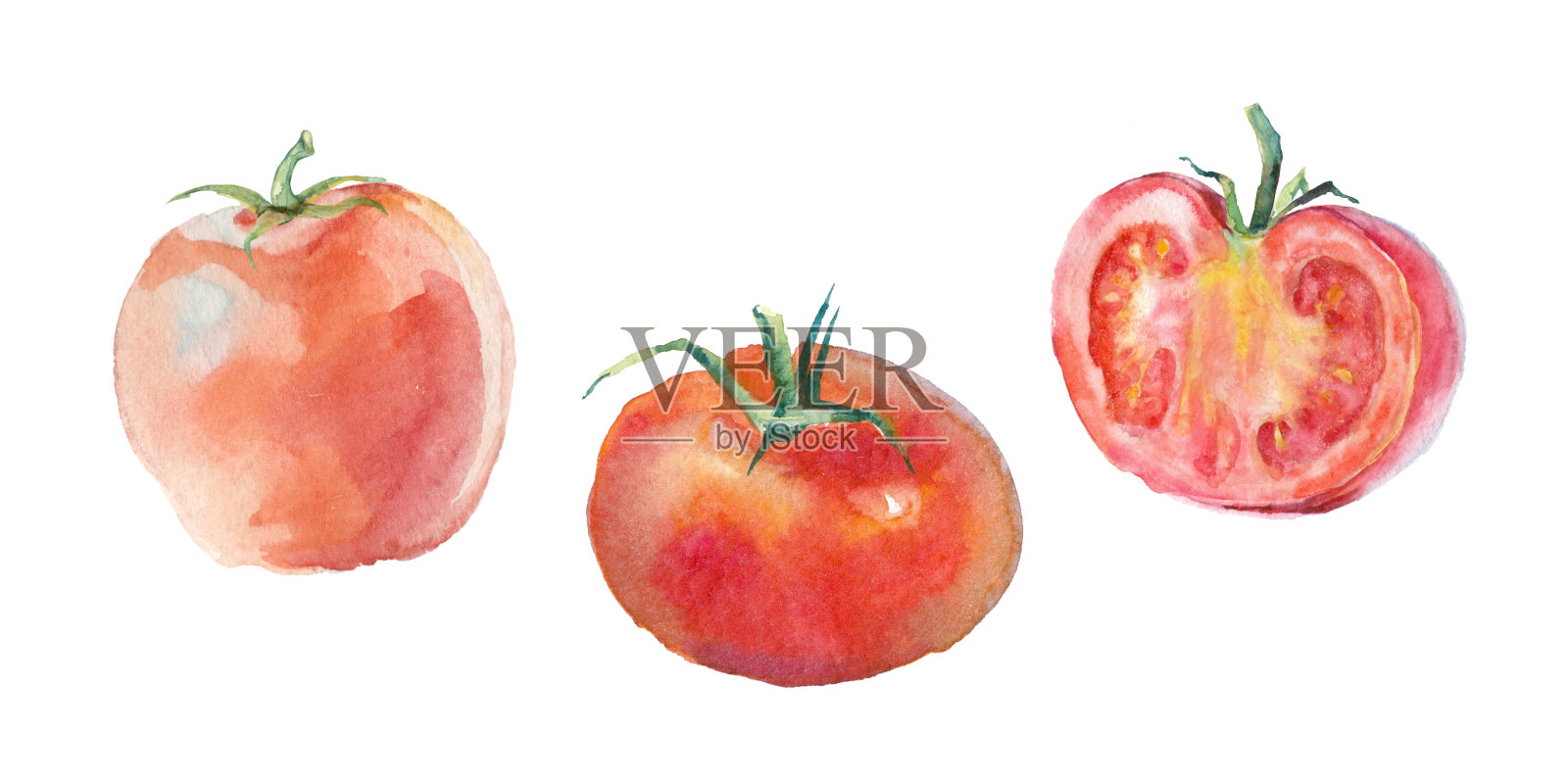 水彩红番茄。插画图片素材