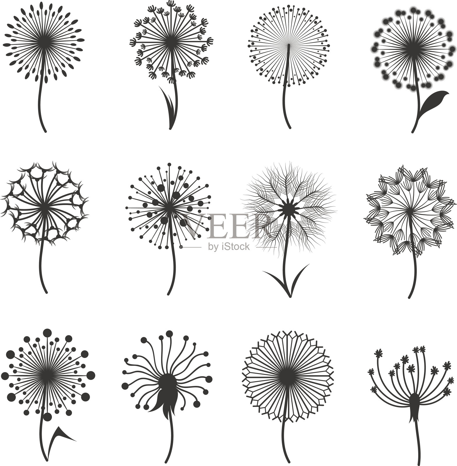 带有绒毛种子的蒲公英花，黑色的花载体轮廓孤立在白色上插画图片素材