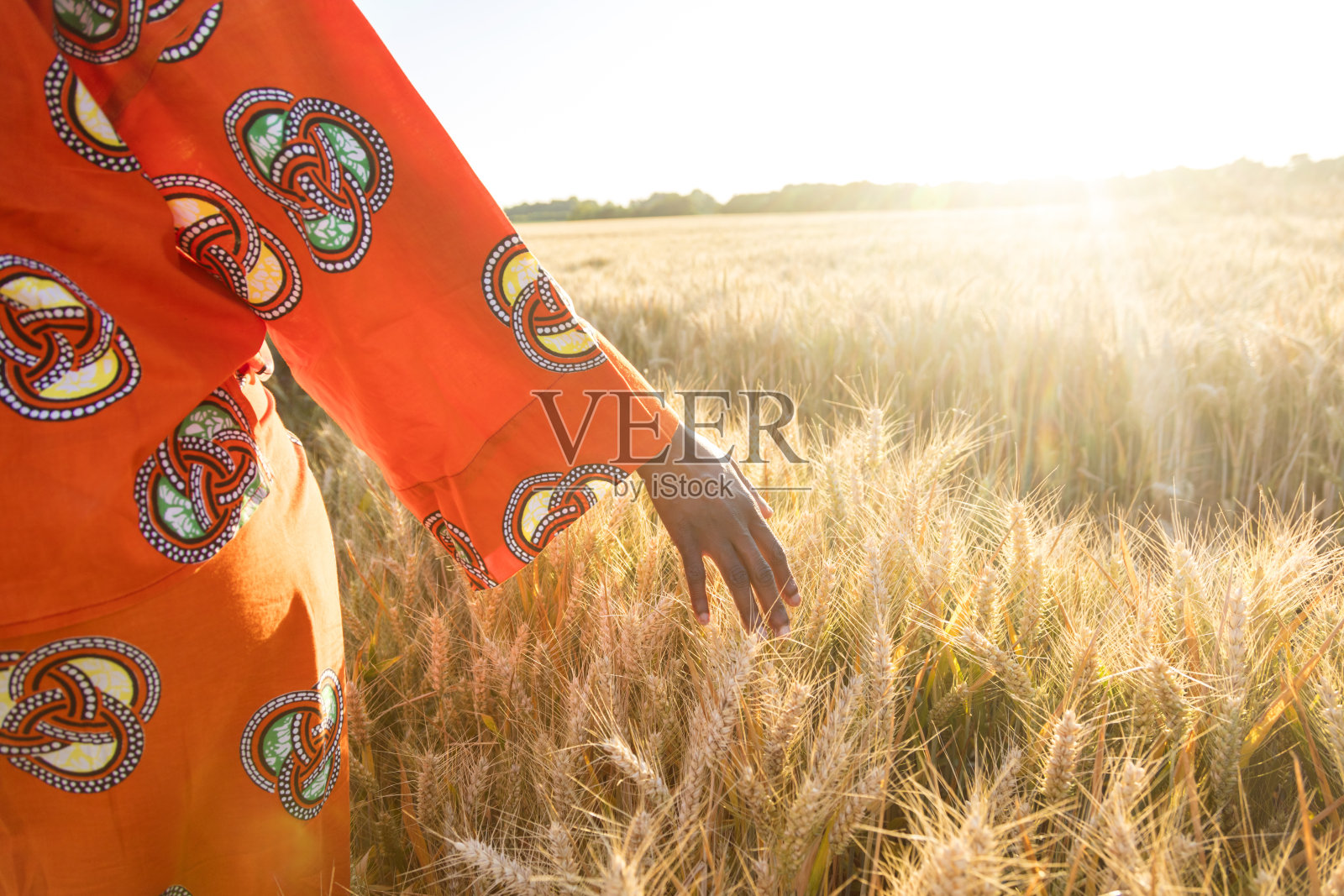 穿着传统服装的非洲妇女，在日落或日出时用手触摸大麦或小麦的田地照片摄影图片