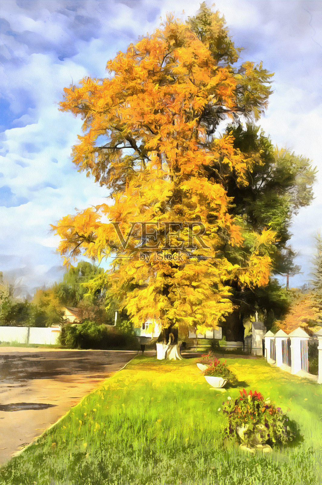 彩色的椴树画照片摄影图片