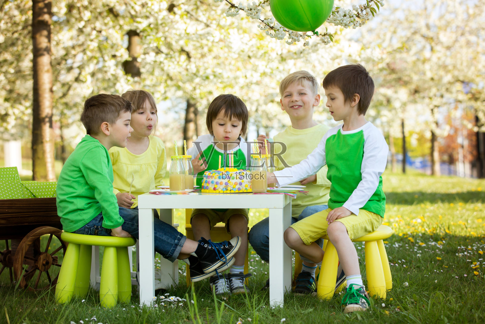 快乐甜蜜的学前儿童，亲朋好友，可爱的男孩庆祝五岁生日，户外在盛开的苹果树花园里，春天，傍晚照片摄影图片