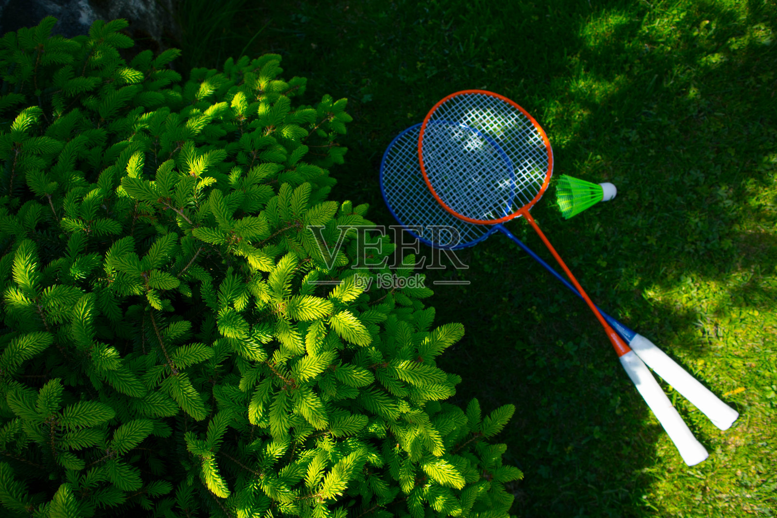 两支羽毛球拍在阳光明媚的草木绿鲜的背景上。照片摄影图片