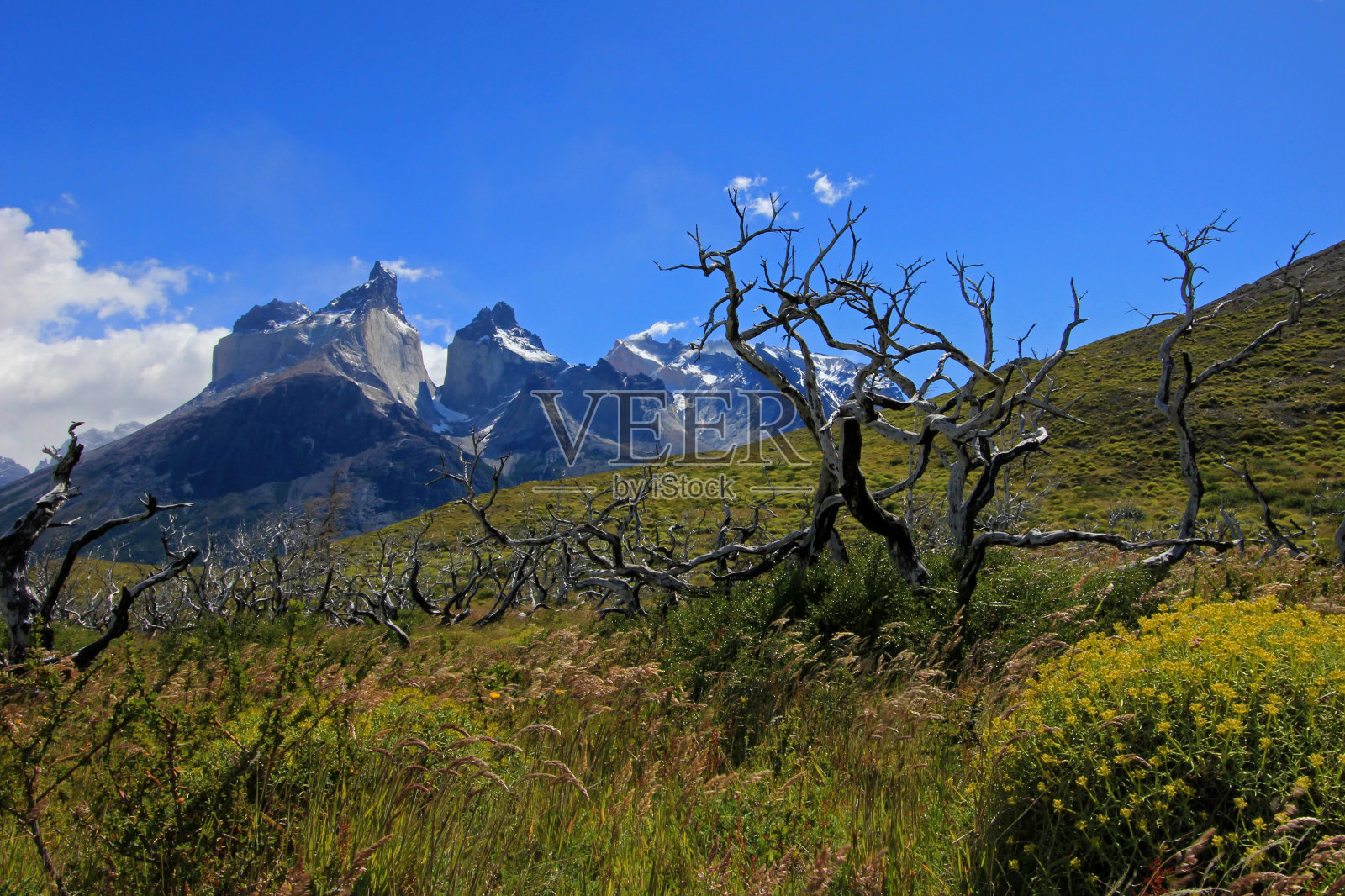 Cuernos Paine Grande, Torres Del Paine国家公园，巴塔哥尼亚，智利照片摄影图片