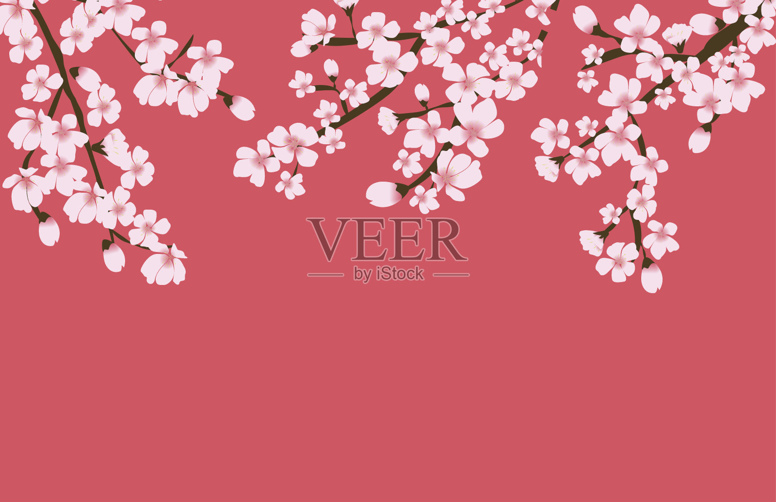 樱花花日本自然背景向量设计元素图片