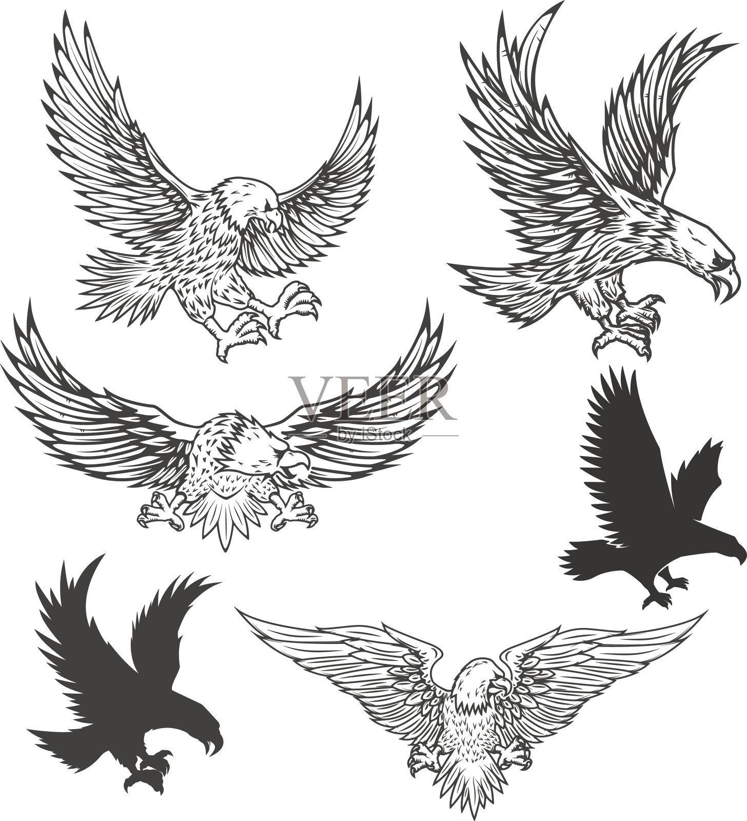 飞鹰孤立在白色背景上的插图。矢量插图。设计元素图片