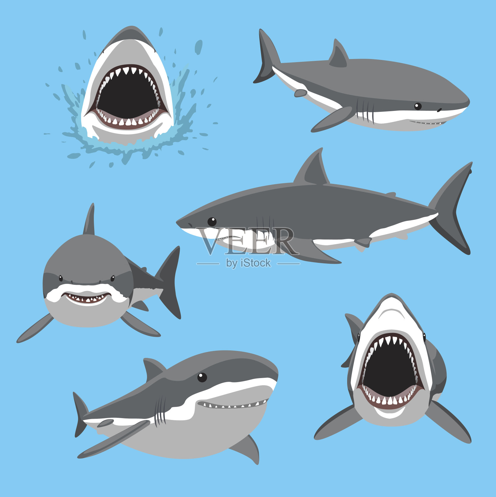大白鲨六姿态卡通矢量插图插画图片素材