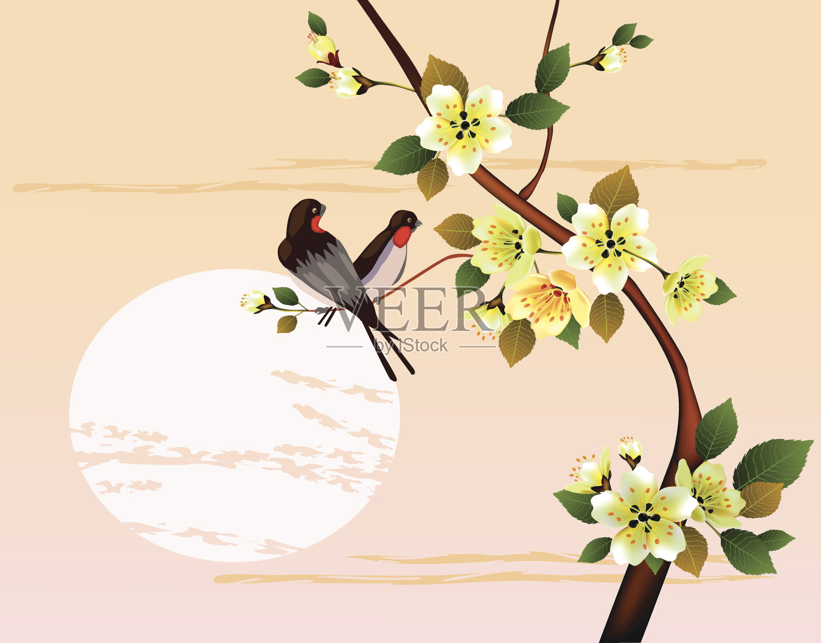 傍晚在花园里盛开的樱桃和小鸟插画图片素材