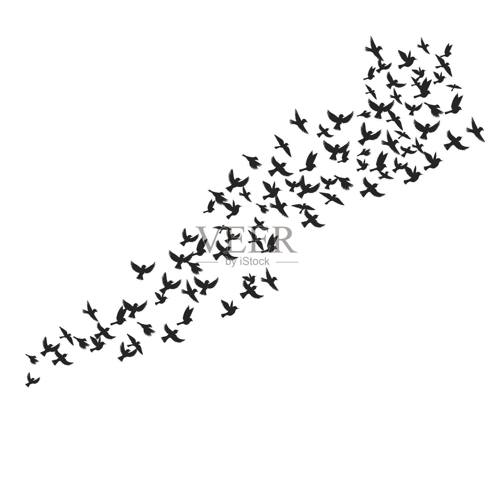矢量鸟的剪影插画图片素材
