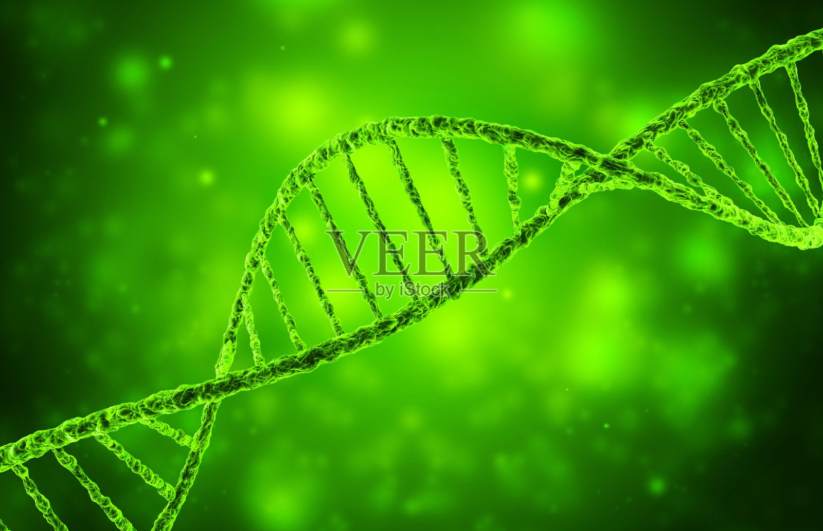 绿色背景中的DNA螺旋照片摄影图片