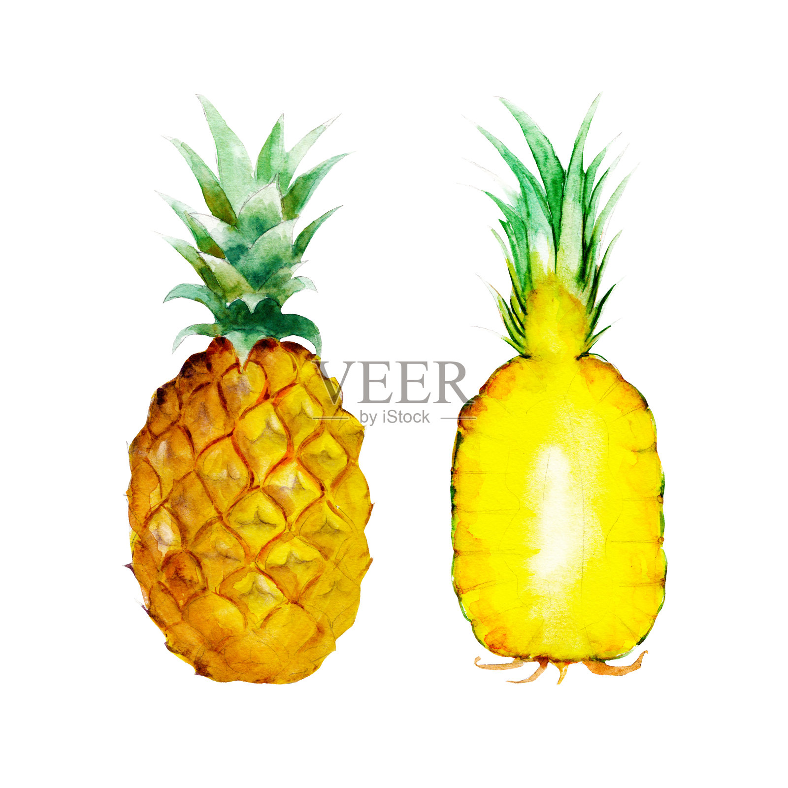 菠萝孤立在白色的背景，水彩插图水果集在手绘风格。插画图片素材