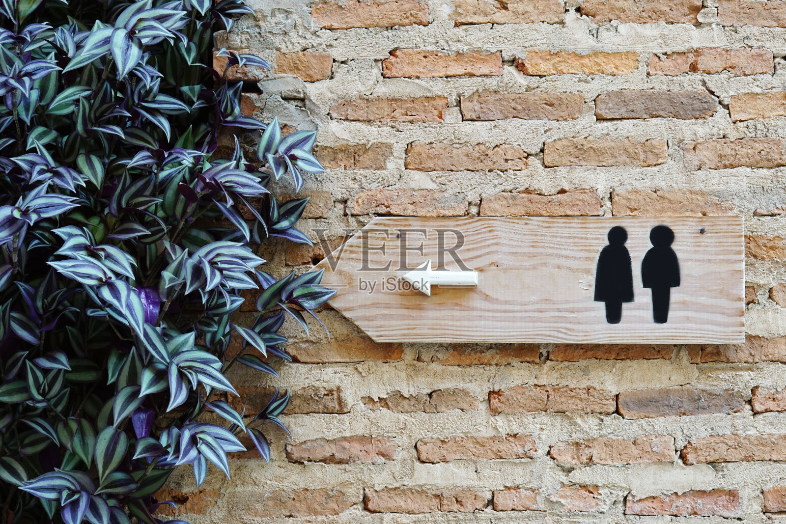 厕所-厕所图标，公共厕所标志有男性和女性的标志和方向。照片摄影图片