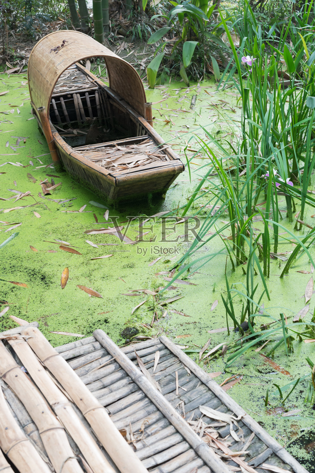 废弃的中国竹船在绿水里照片摄影图片
