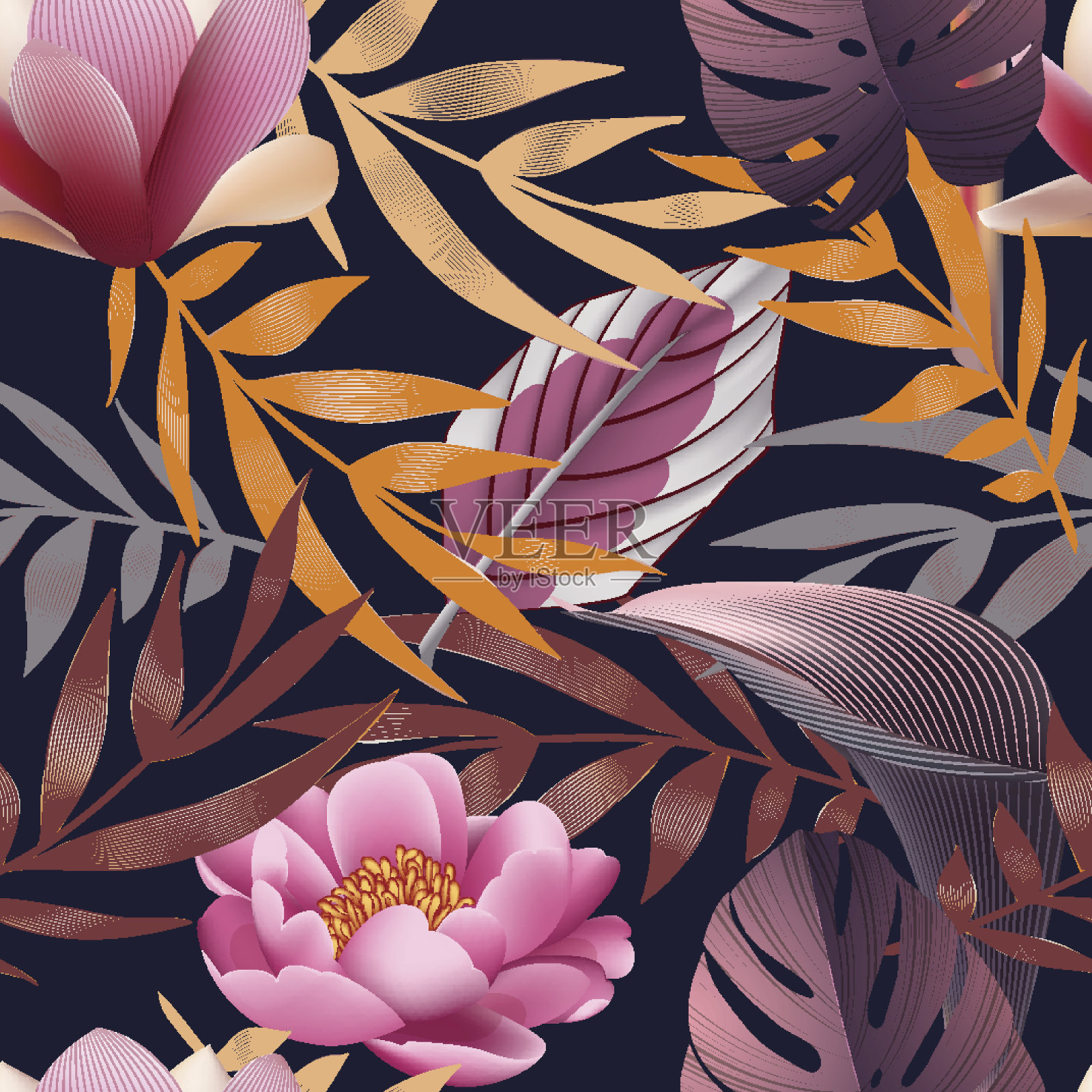 热带花，丛林叶，天堂花。插画图片素材