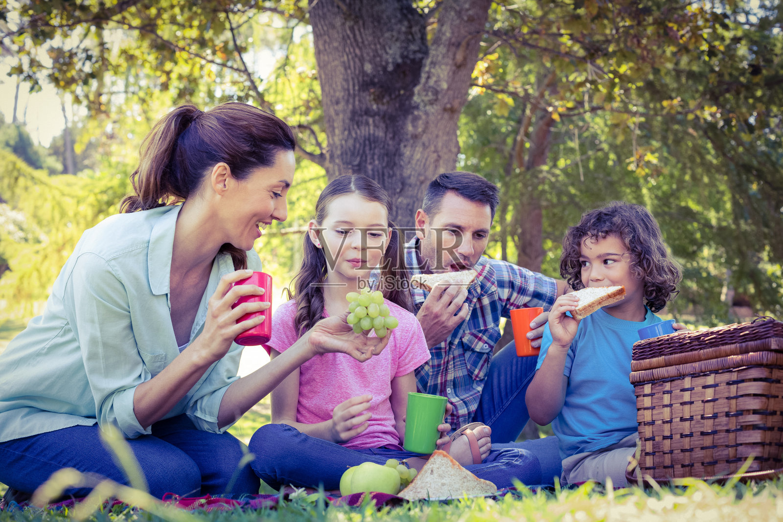 快乐的家庭在公园野餐照片摄影图片