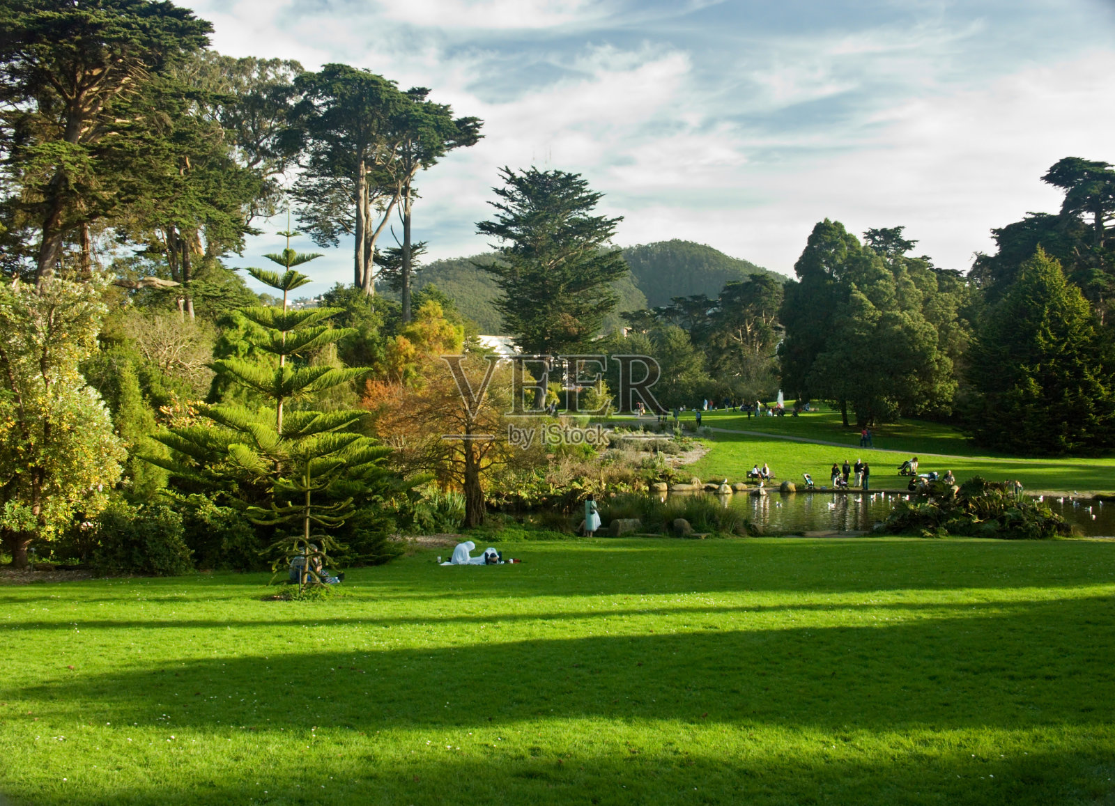 金门公园的一个阳光明媚的日子照片摄影图片