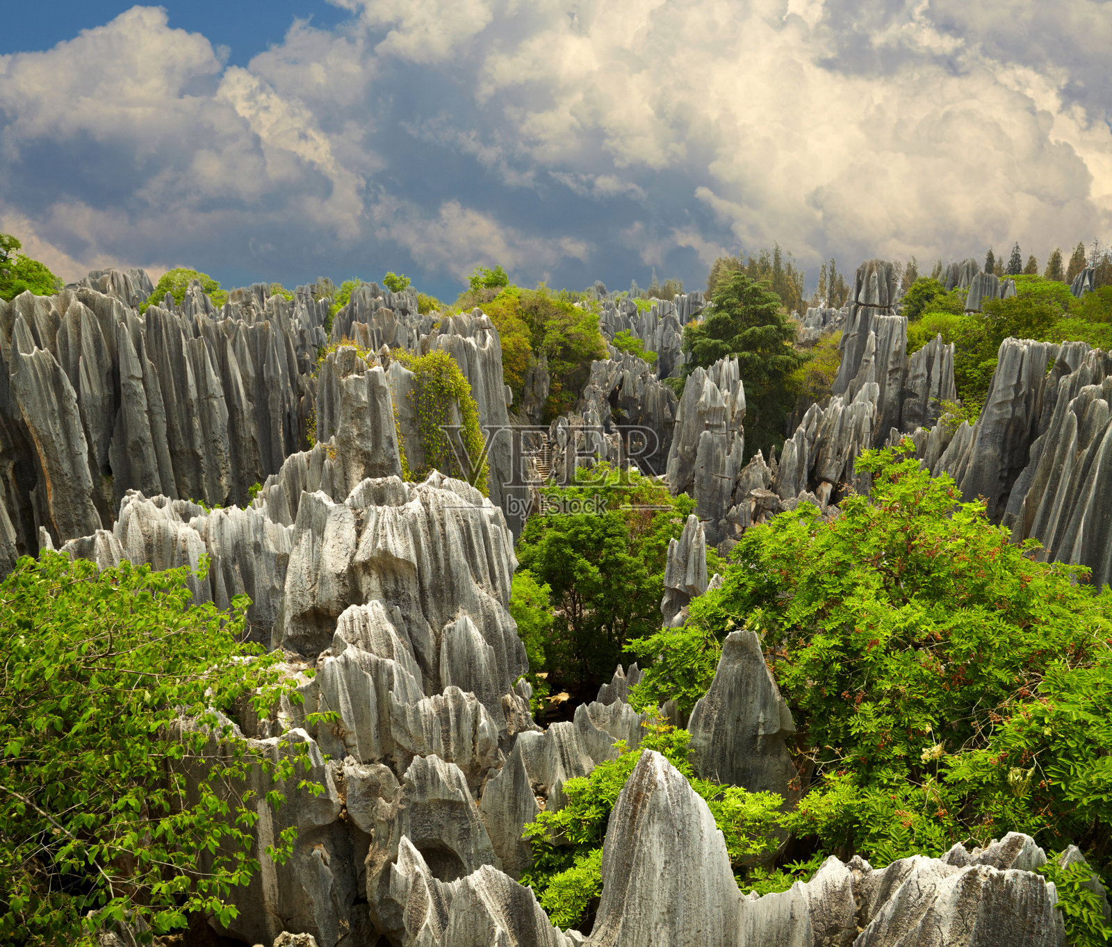 石林石林。中国云南省的国家公园照片摄影图片