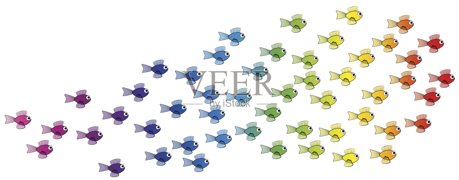 鱼的学校-彩虹色的年轻的鱼队-孤立的矢量漫画插图在白色的背景。插画图片素材