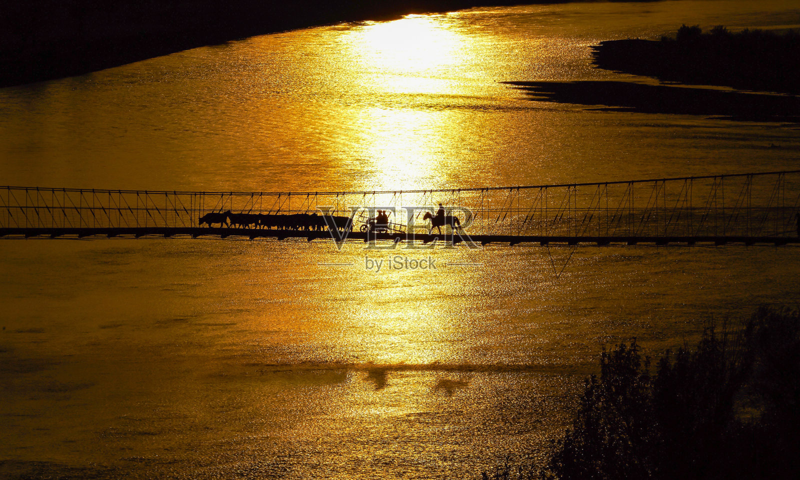 牛过吊桥，黄金时刻景色，中国新疆风光。照片摄影图片