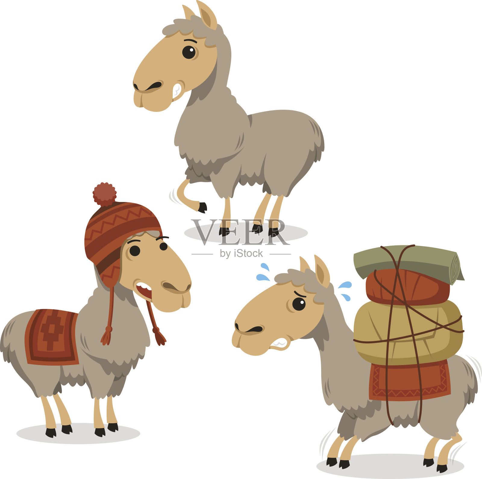 秘鲁羊驼喇嘛与针织衣服插画图片素材