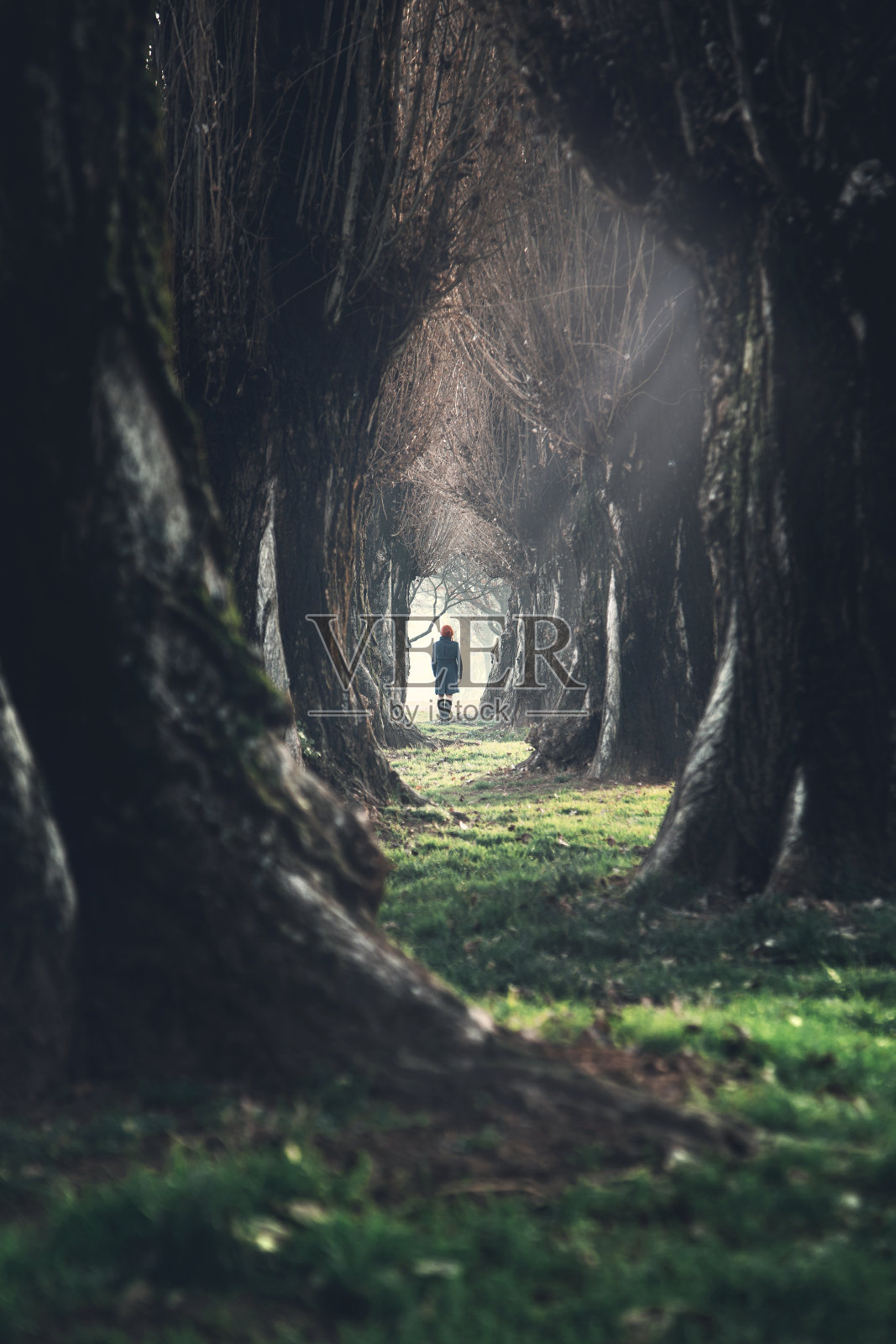 一个女人走在神秘的黑暗森林里照片摄影图片