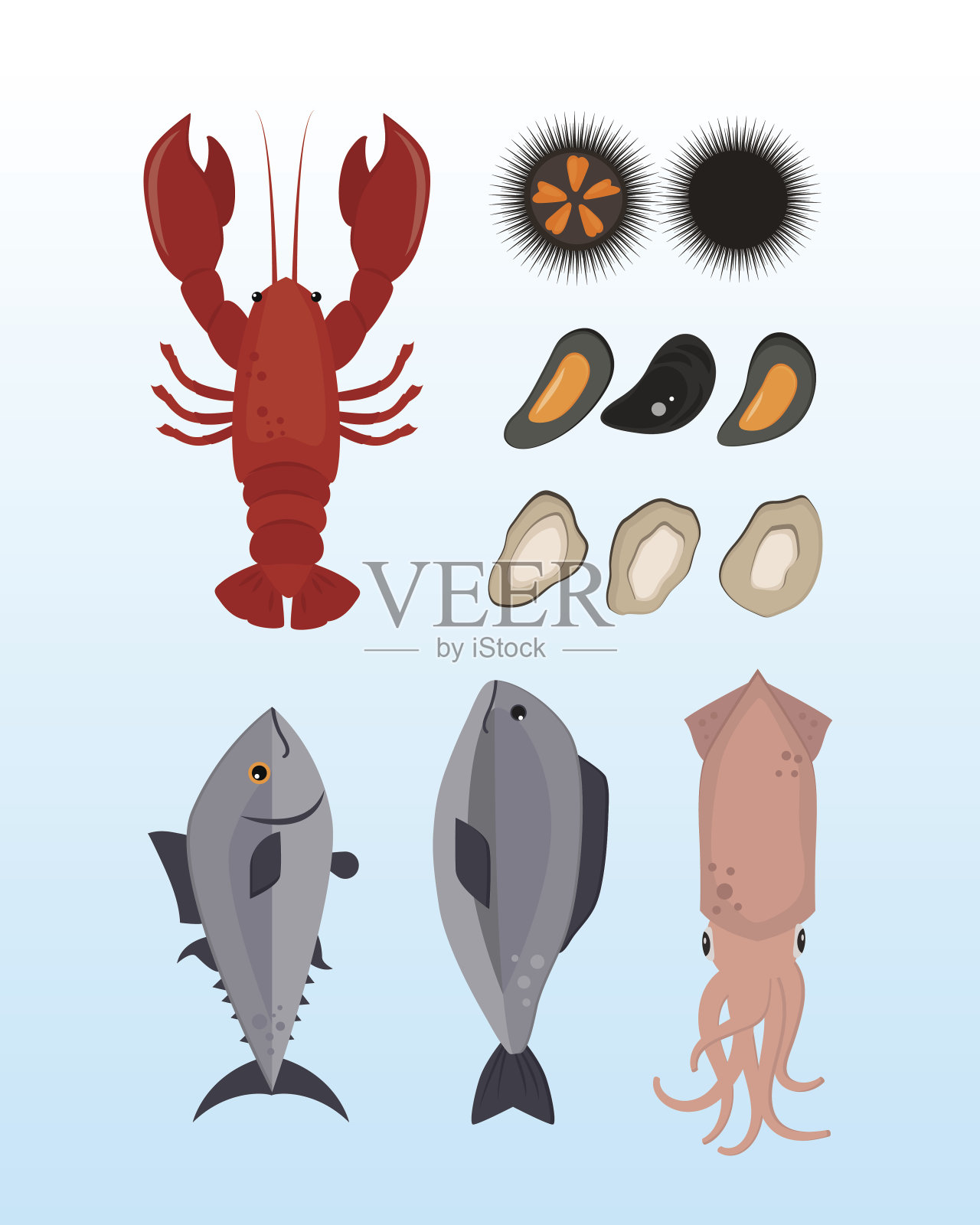 海鲜平美味烹饪美味可用于布局广告和鲜虾贝类网站设计美食餐厅餐点矢量插画设计元素图片