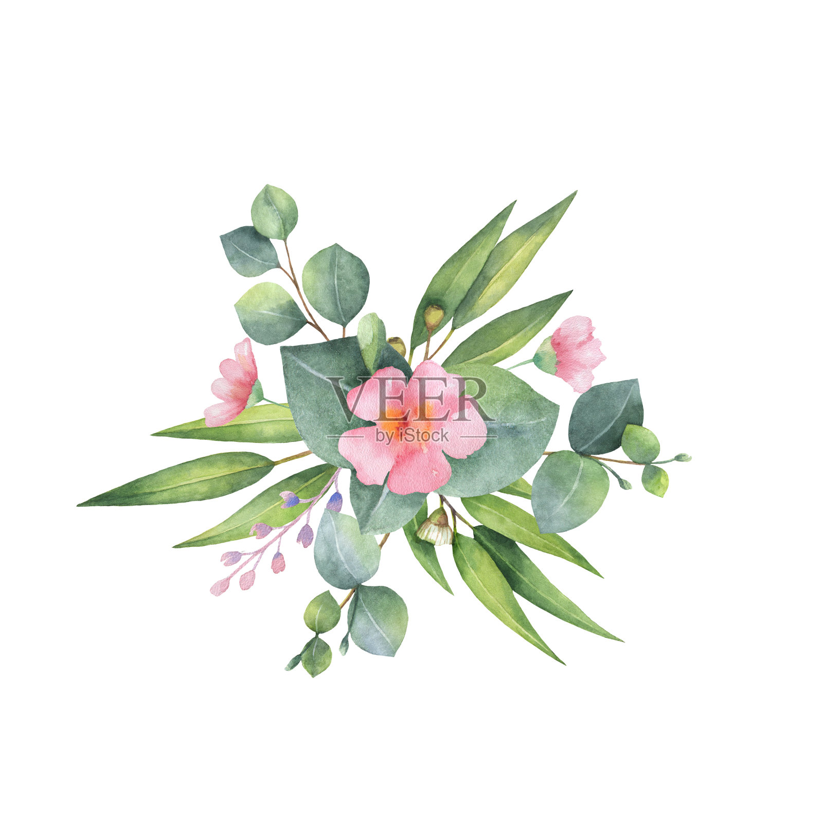 水彩手绘花束与绿色桉树和粉红色的花。插画图片素材