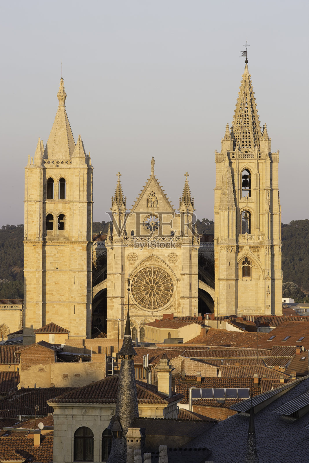 里昂大教堂照片摄影图片