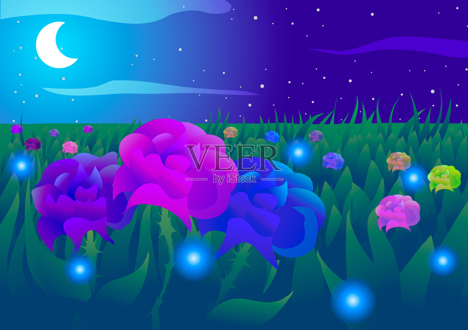 夜晚的玫瑰田。插画图片素材