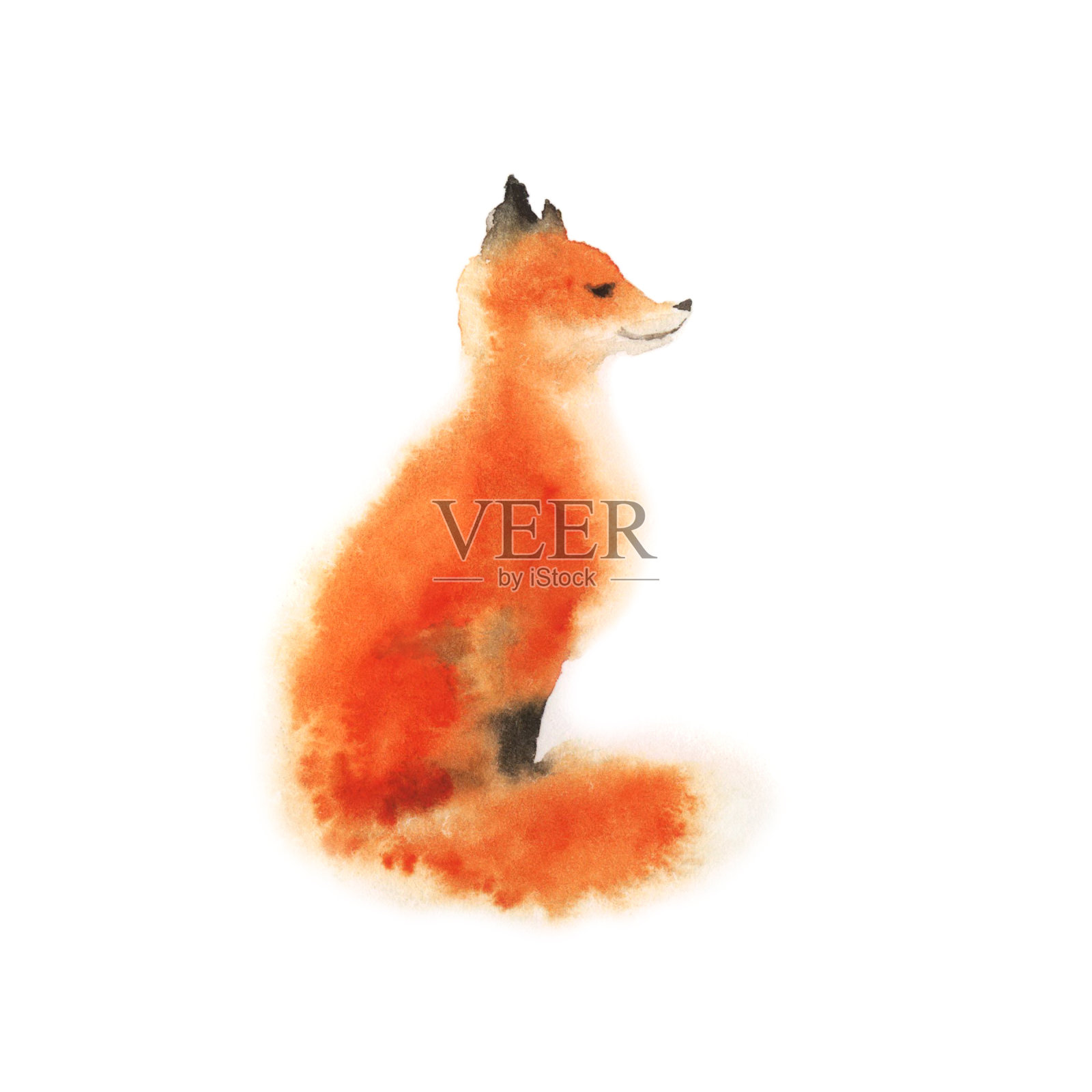 水彩红毛绒绒的狐狸坐在白色。狡猾的玩。插画图片素材